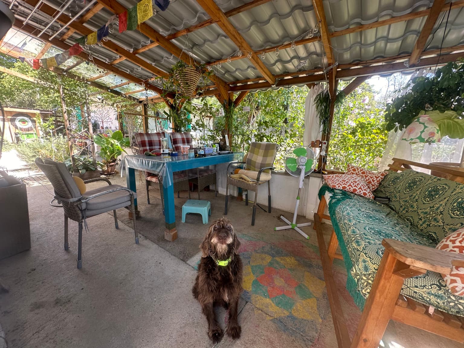 Sprockets Corner - Bryagovitsa - thumbnail 8