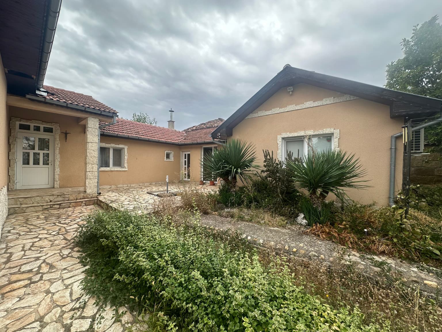 Palm House - Mogilino - thumbnail 6