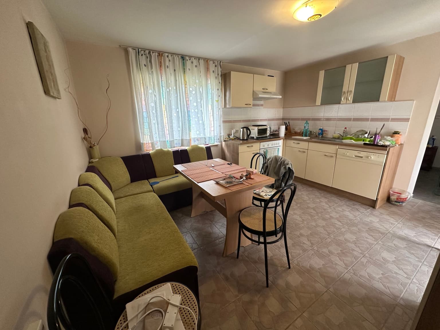 Palm House - Mogilino - thumbnail 10