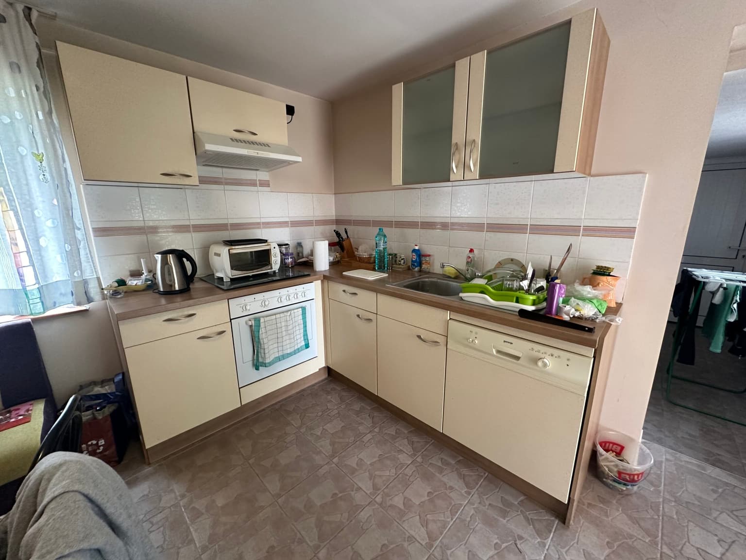 Palm House - Mogilino - thumbnail 4