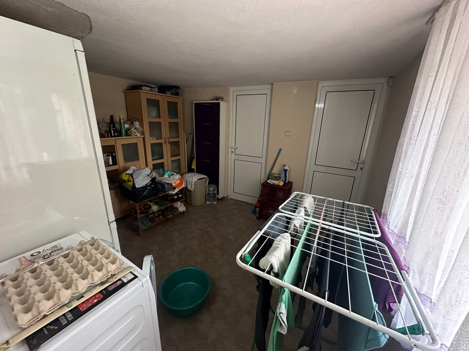 Palm House - Mogilino - thumbnail 12