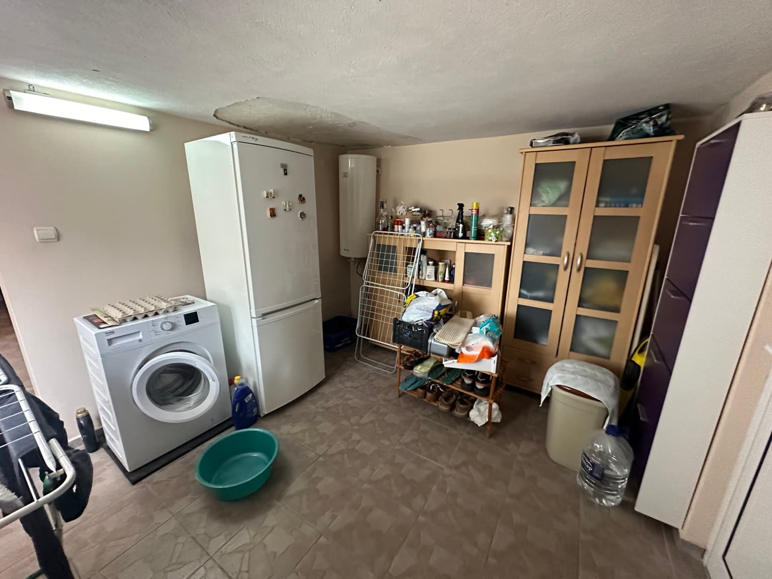 Palm House - Mogilino - thumbnail 13