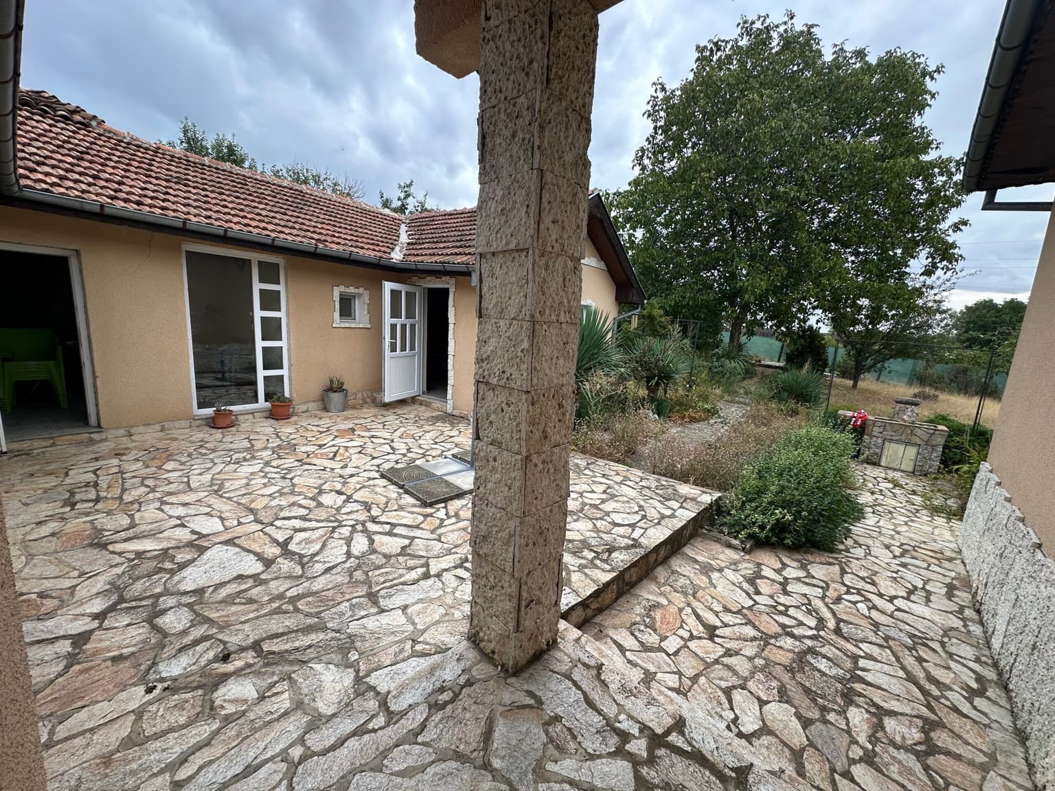 Palm House - Mogilino - thumbnail 2