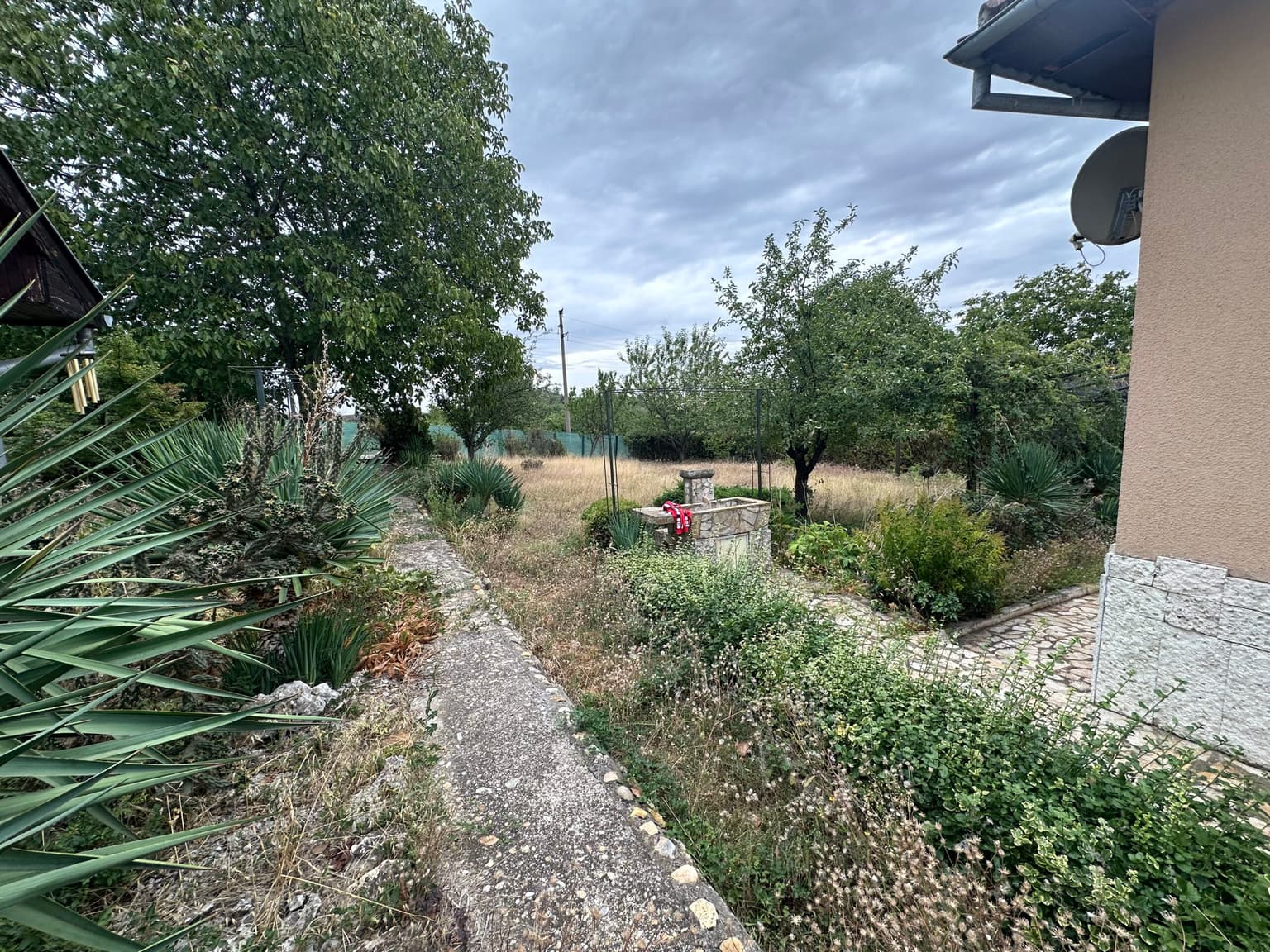 Palm House - Mogilino - thumbnail 14