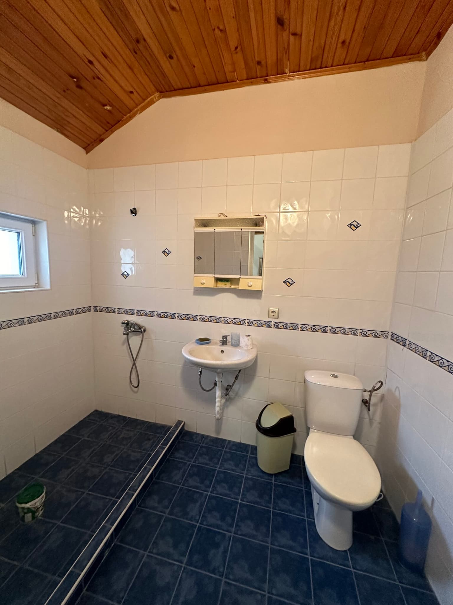 Palm House - Mogilino - thumbnail 17