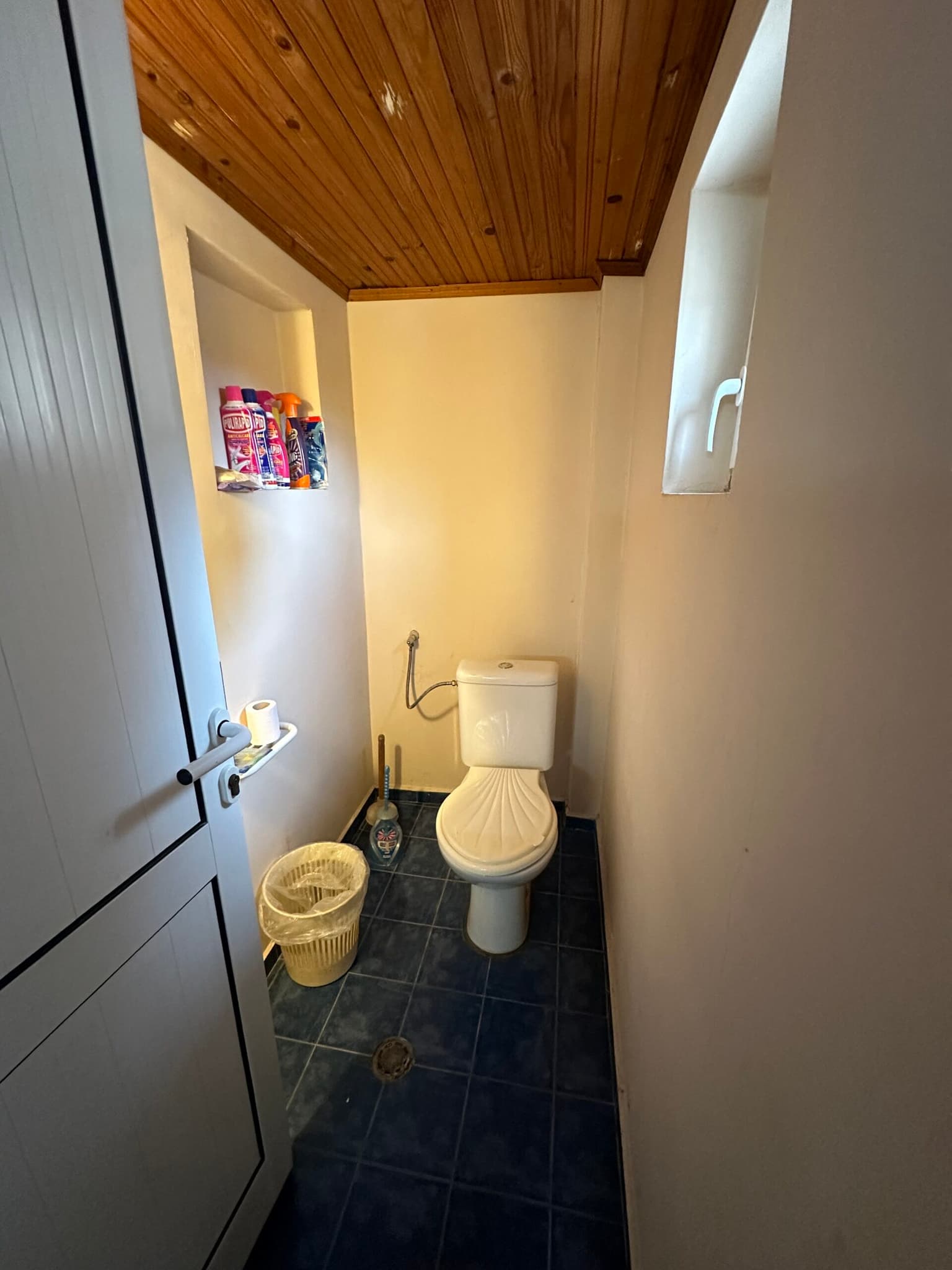 Palm House - Mogilino - thumbnail 18