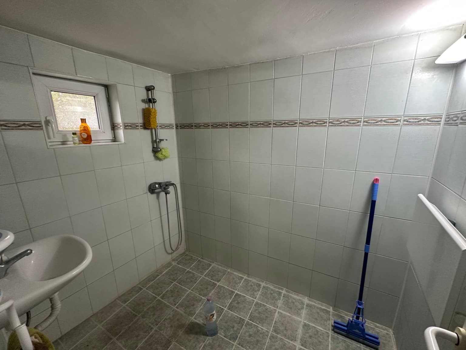 Palm House - Mogilino - thumbnail 19