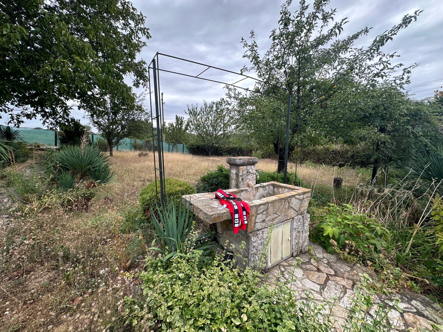 Palm House - Mogilino - thumbnail 20