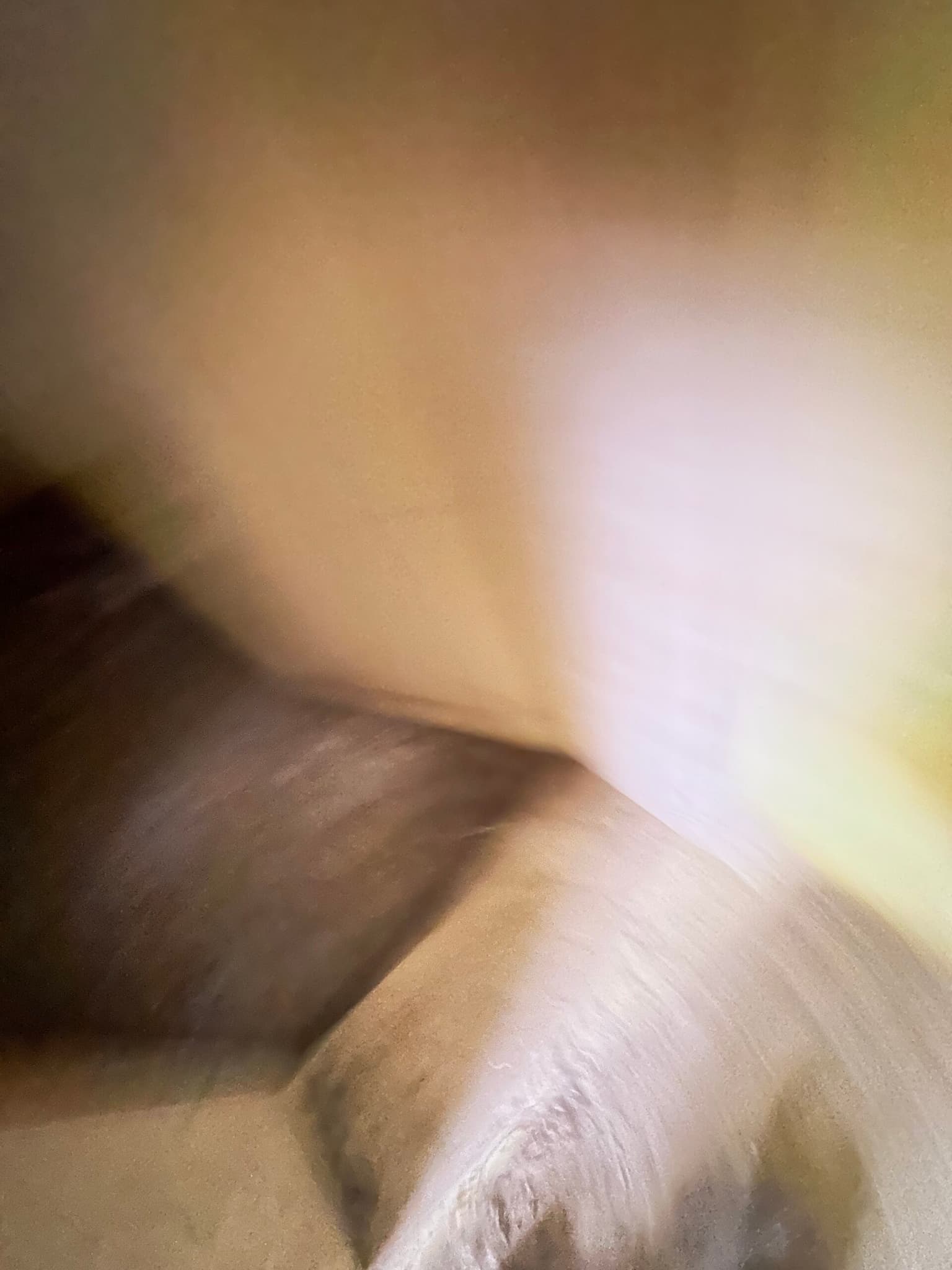 Hazelnut House - Mogilino - thumbnail 9