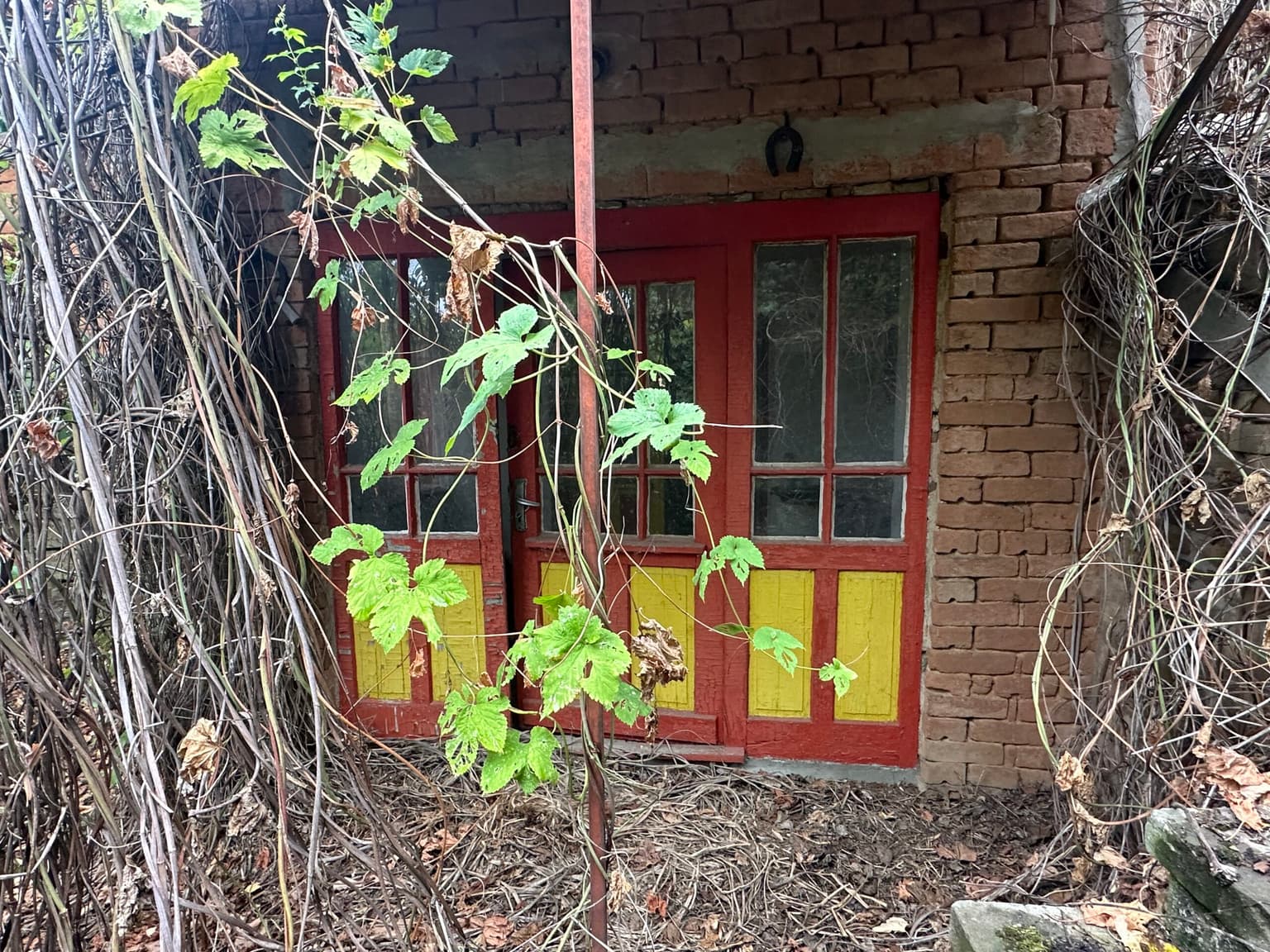 Tiddy House - Tsar Asen - thumbnail 5