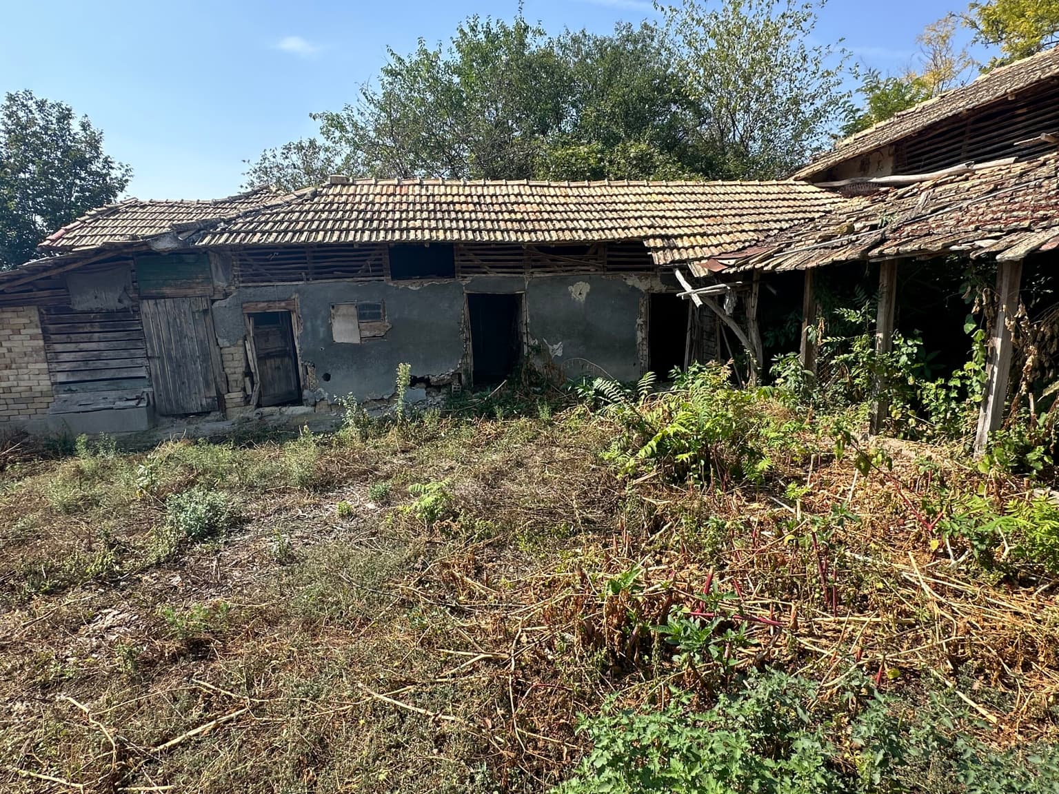 Fortress House - Sadina - thumbnail 4