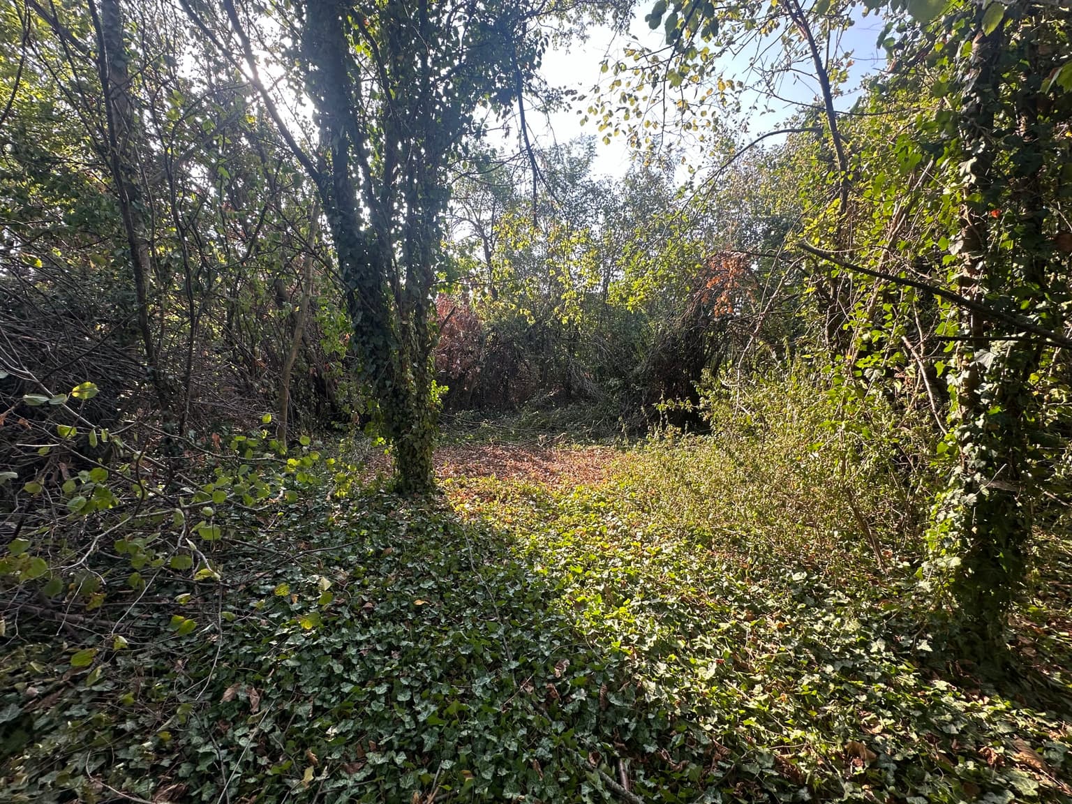 Upper House – Palamartsa in Palamartsa