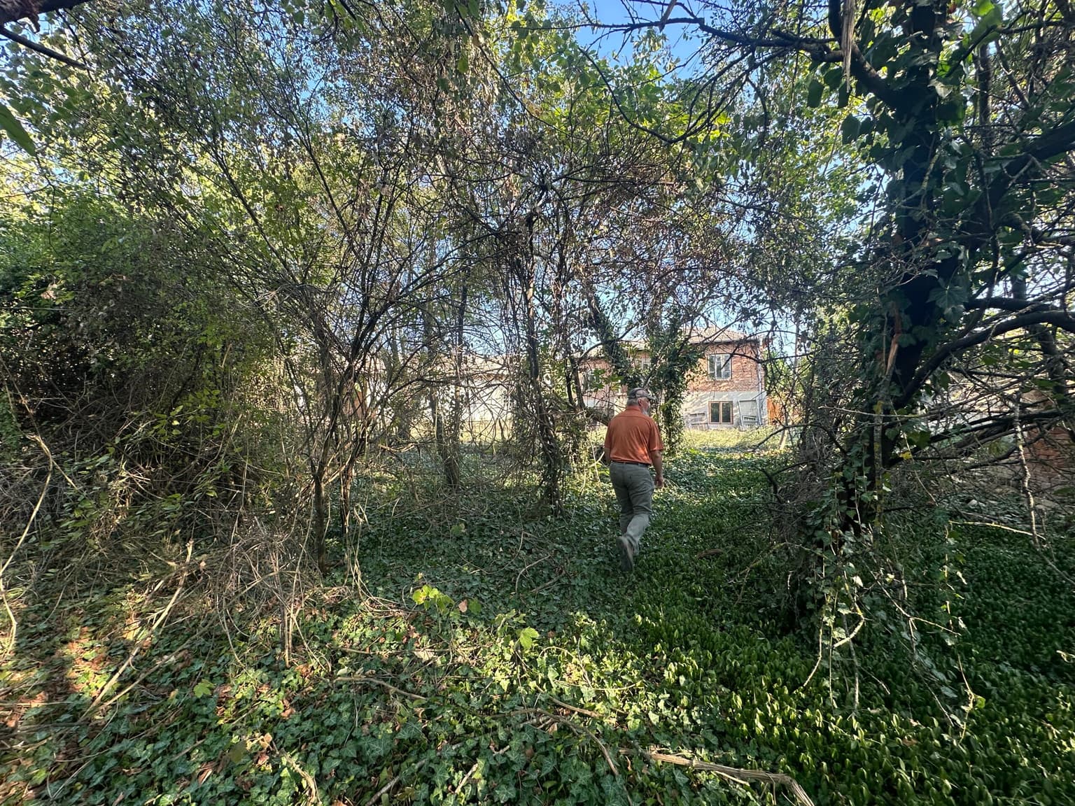 Upper House – Palamartsa - thumbnail 2