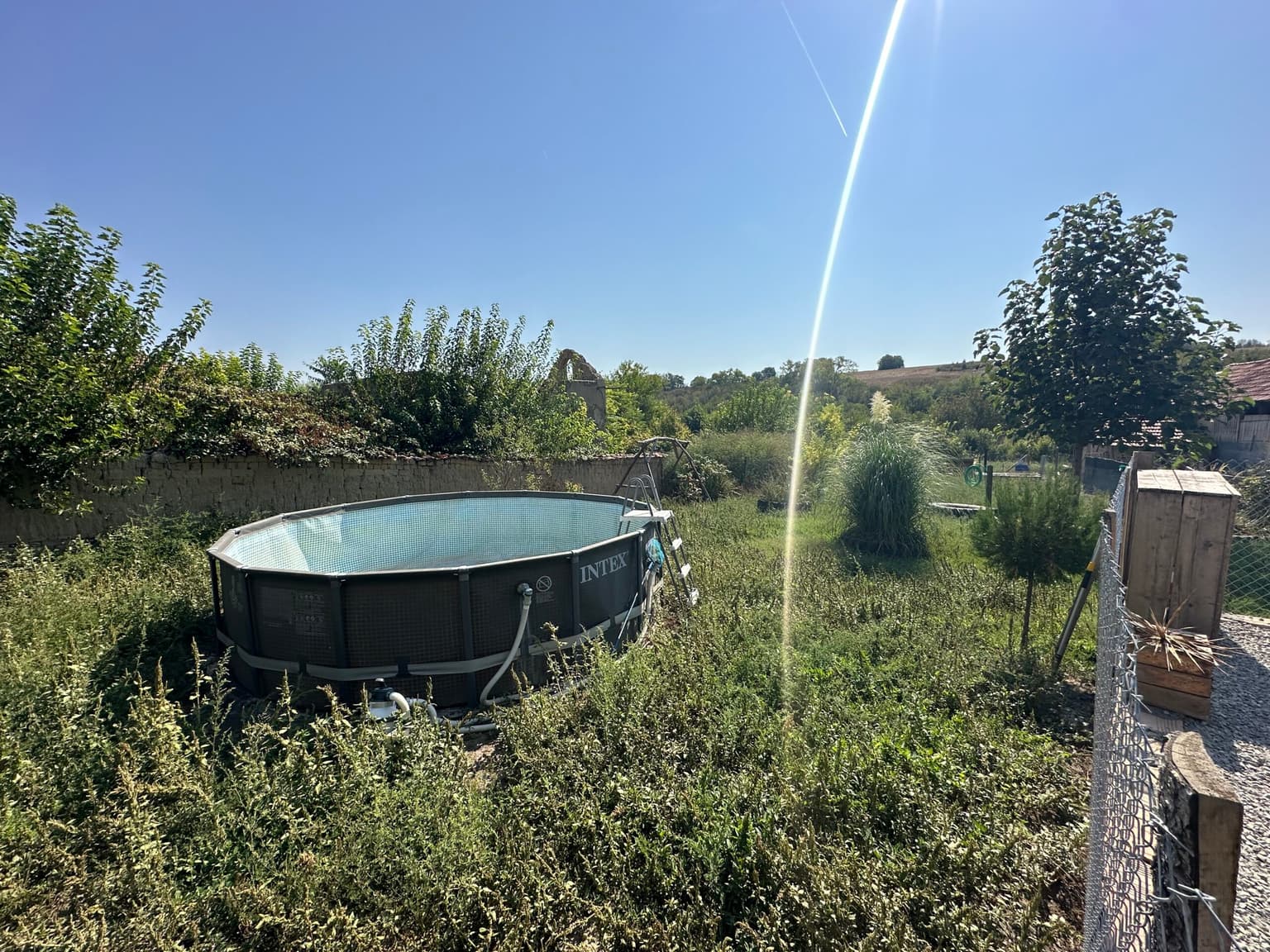 Avocado House - Slomer - thumbnail 31