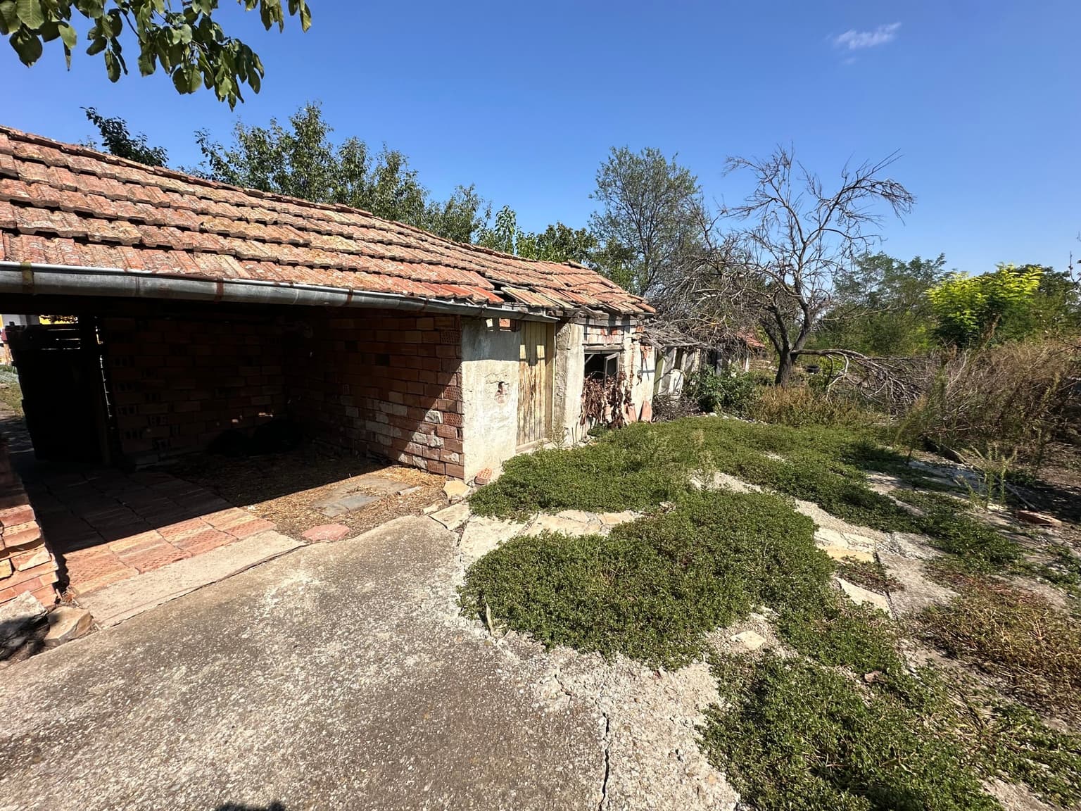 Corner House - Patresh - thumbnail 11