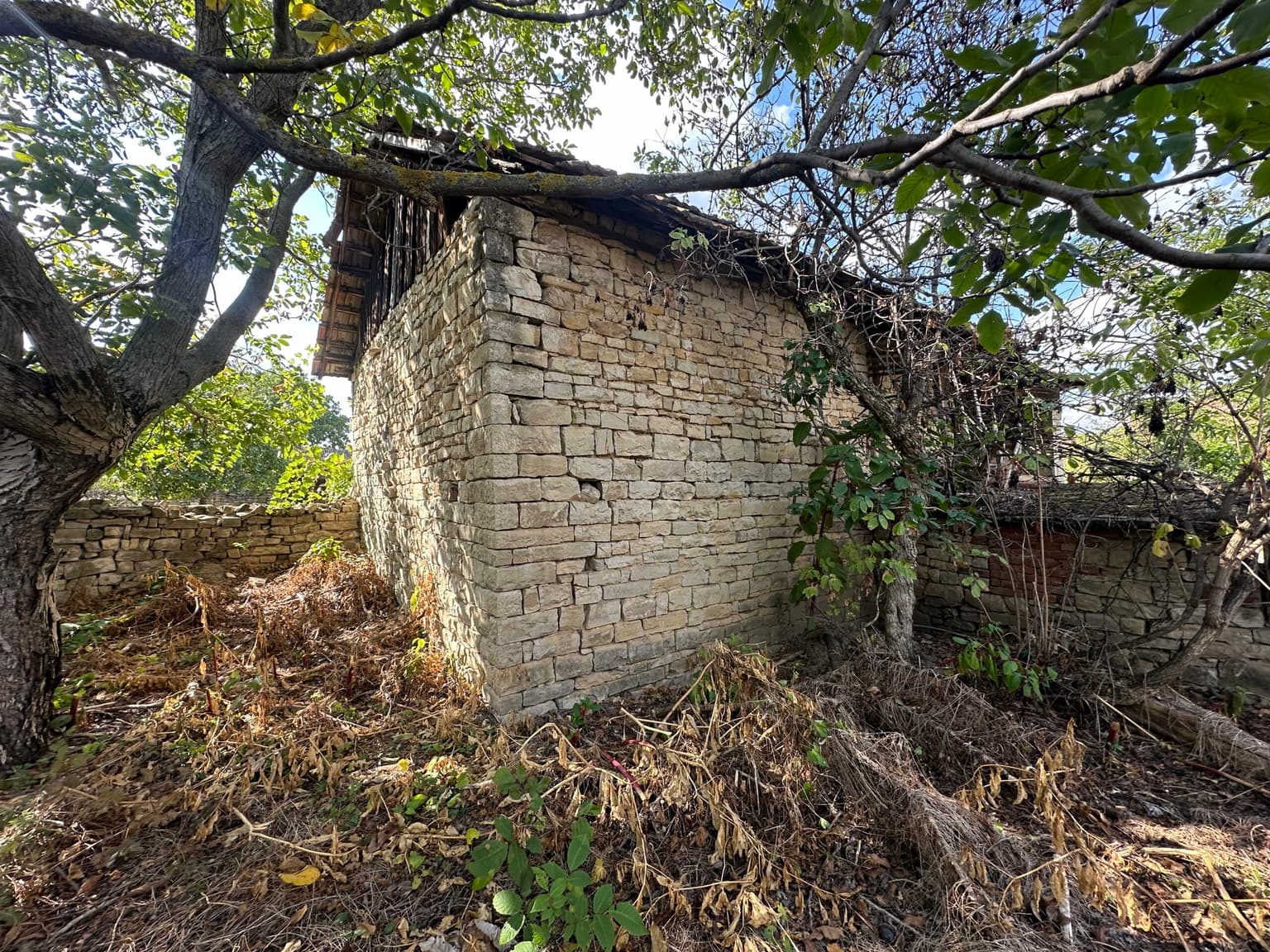 Artists House – Polski Senovets - thumbnail 11