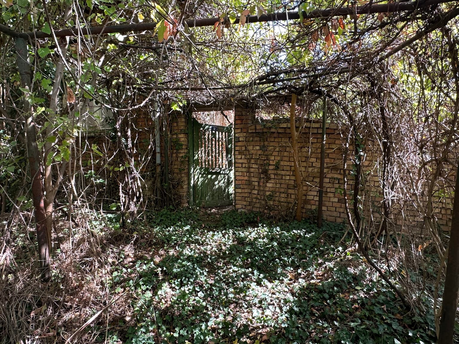 The Daisy House - Peychinovo - thumbnail 2