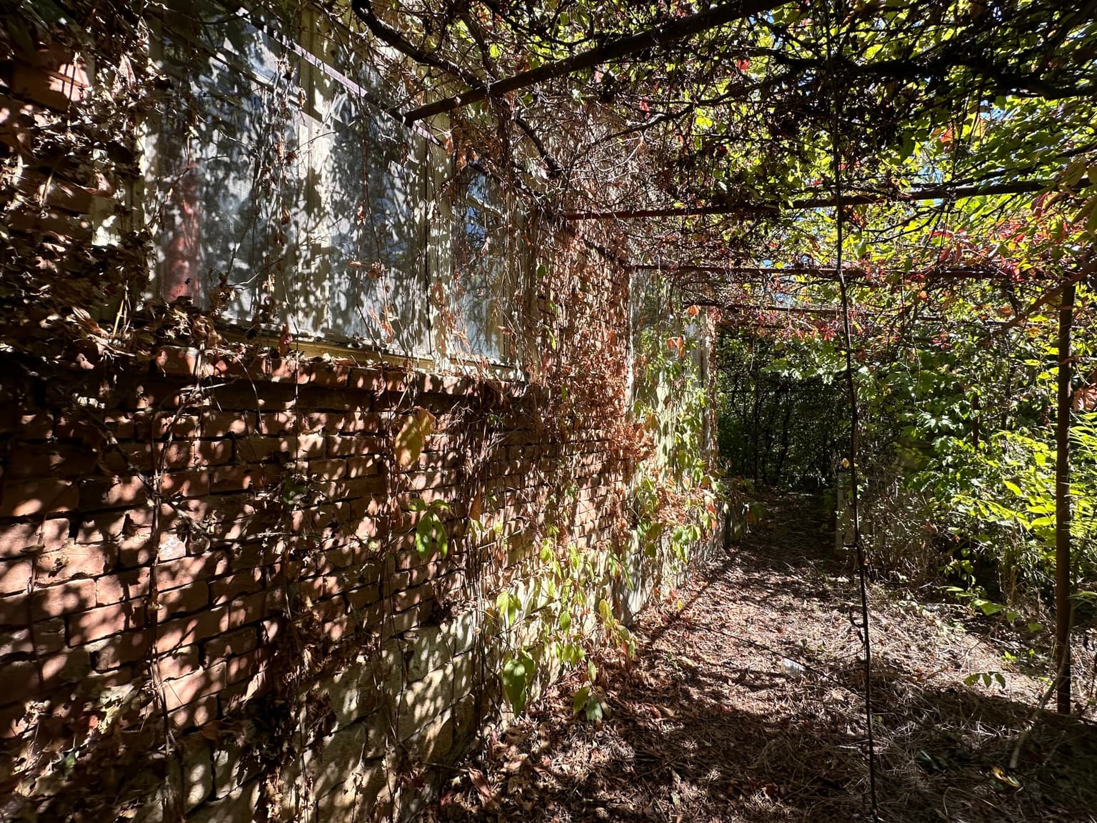 The Daisy House - Peychinovo - thumbnail 3