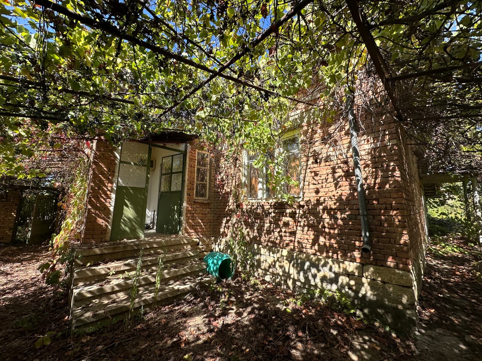 The Daisy House - Peychinovo - thumbnail 15