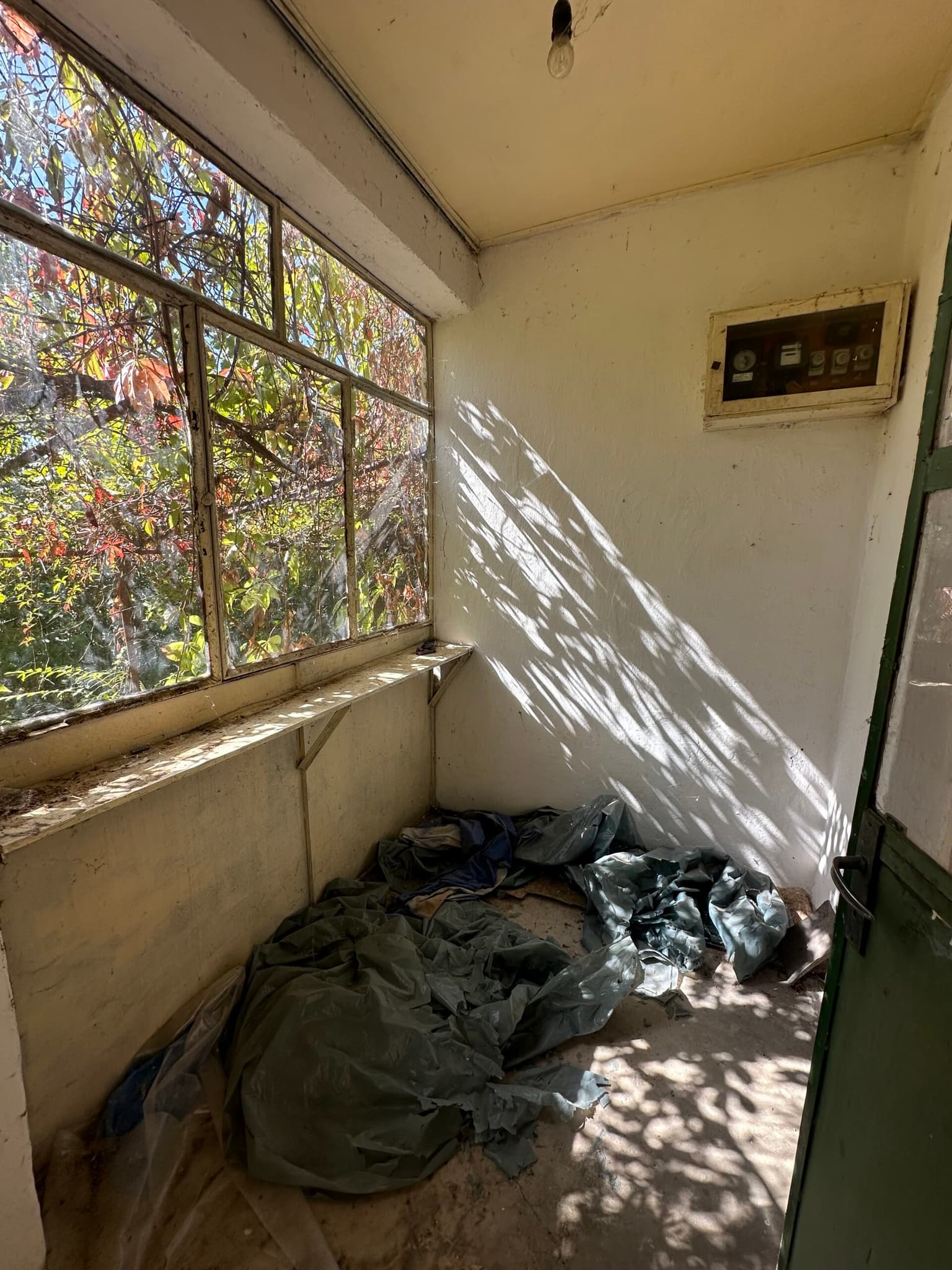 The Daisy House - Peychinovo - thumbnail 4