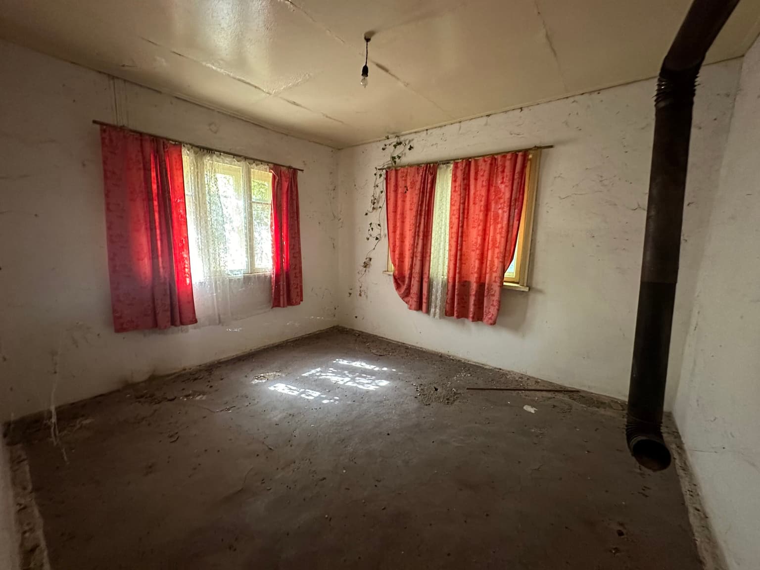 The Daisy House - Peychinovo - thumbnail 6