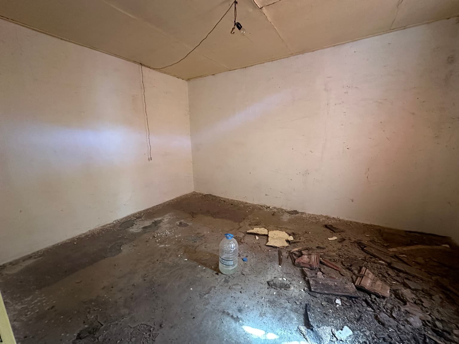 The Daisy House - Peychinovo - thumbnail 7