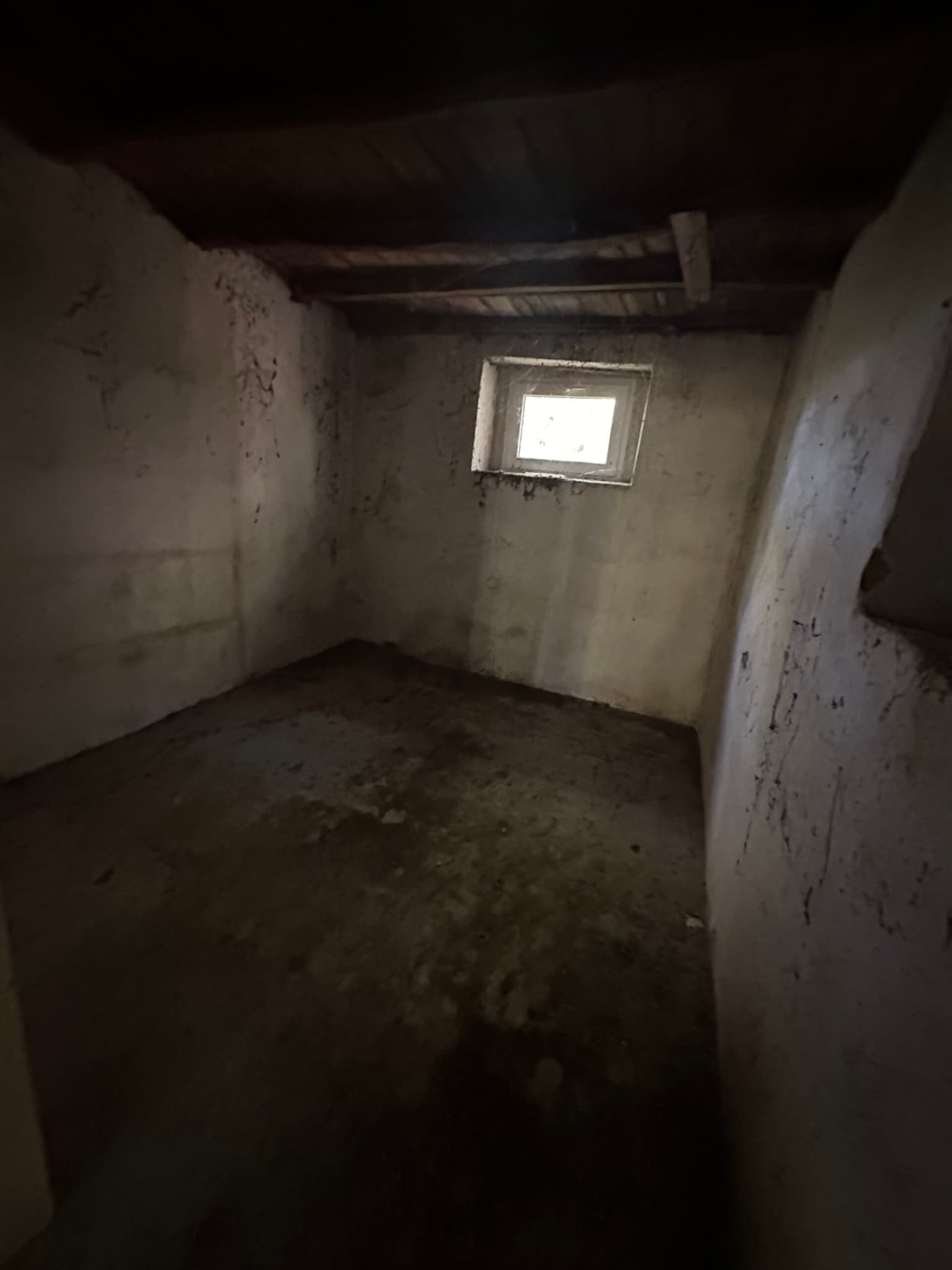 The Daisy House - Peychinovo - thumbnail 10