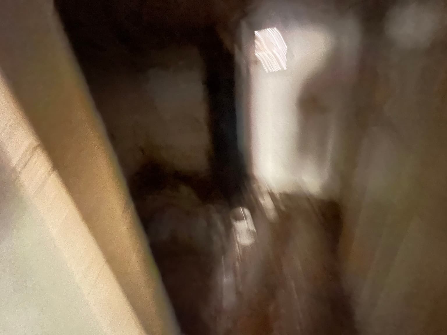 The Daisy House - Peychinovo - thumbnail 11