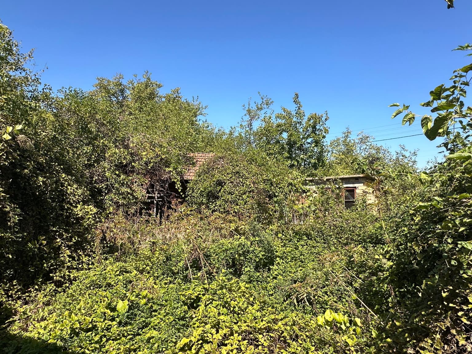 The Daisy House - Peychinovo - thumbnail 12