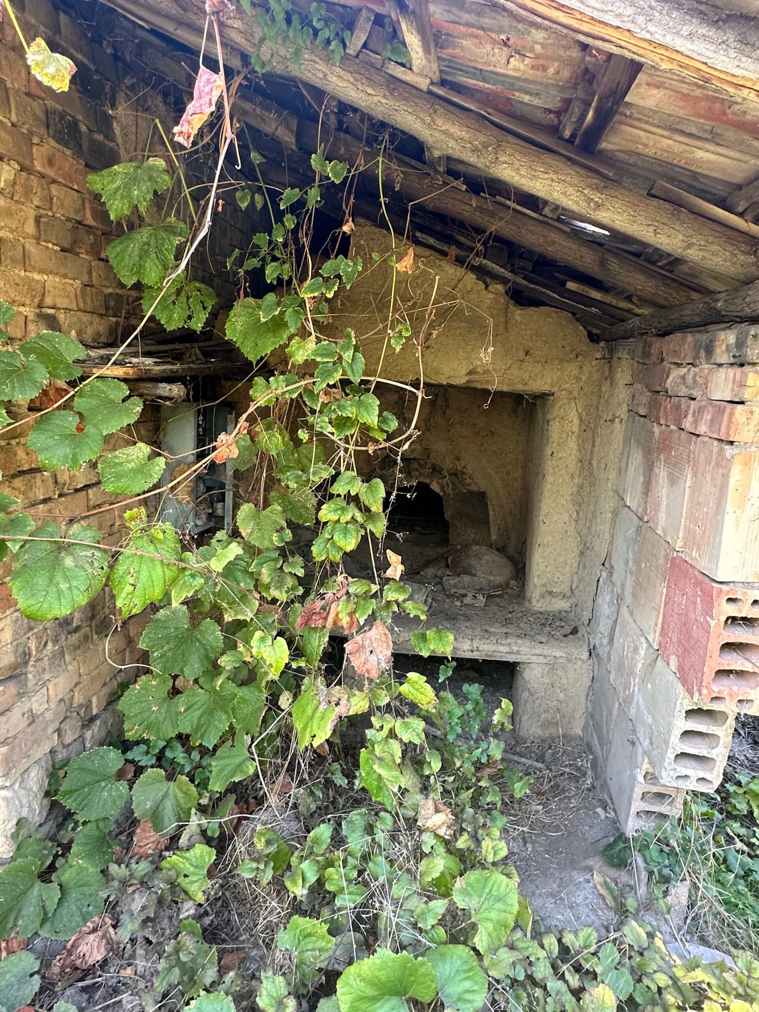 The Daisy House - Peychinovo - thumbnail 13