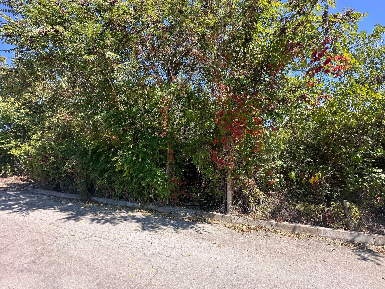 The Daisy House - Peychinovo - thumbnail 14