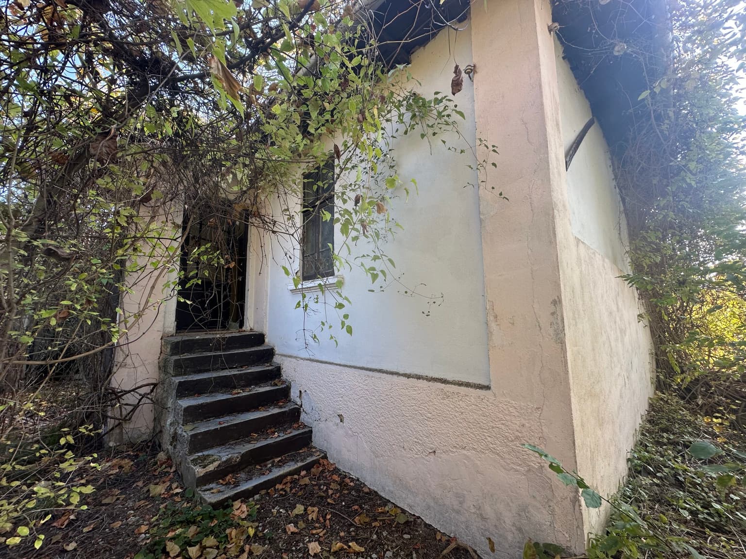 Hay House - Mogilino - thumbnail 17