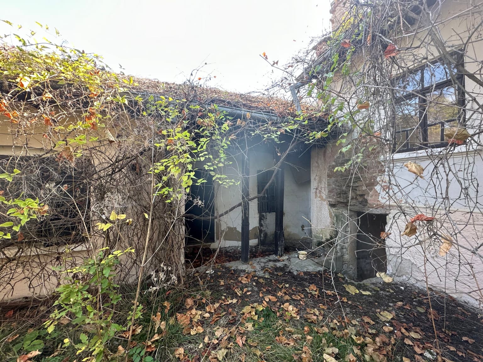 Hay House - Mogilino - thumbnail 18