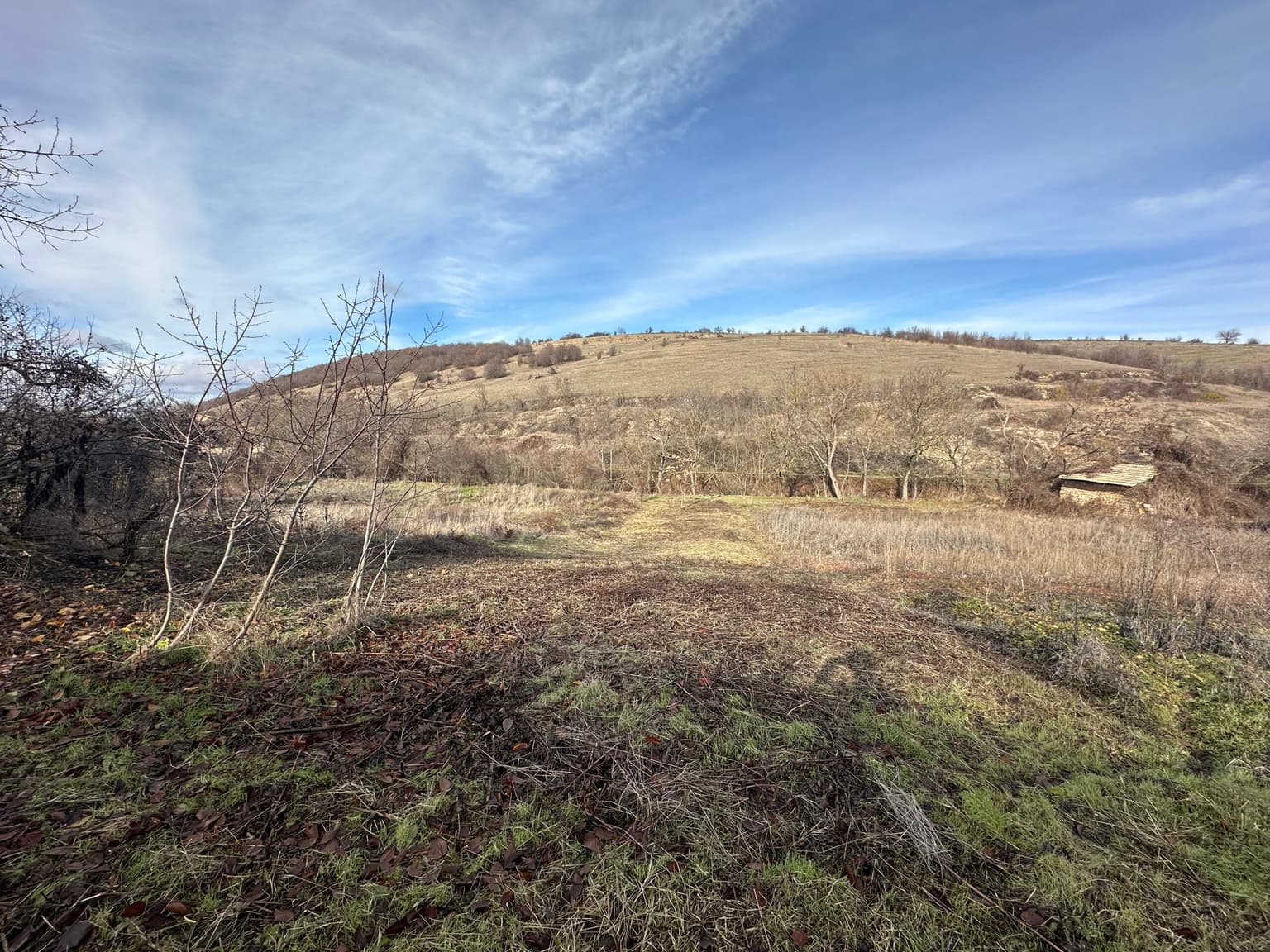 Baba Nikitas – Osikovo - thumbnail 9