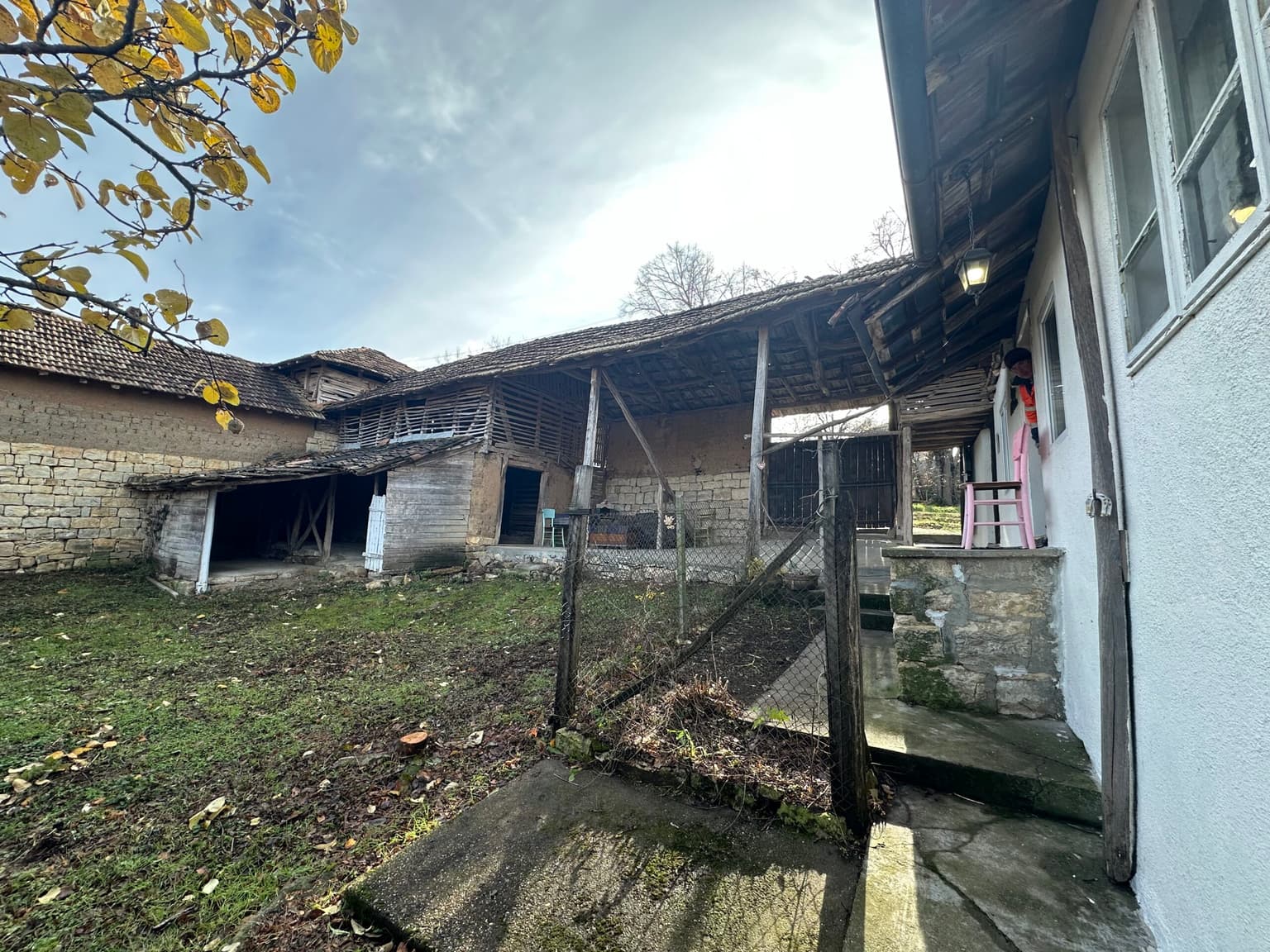 Baba Nikitas – Osikovo - thumbnail 12