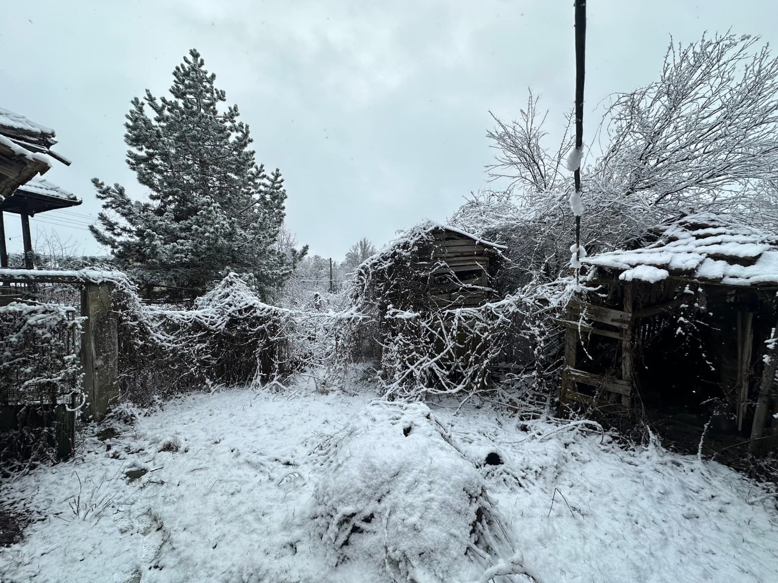 Sergeant House – Voditsa - thumbnail 18