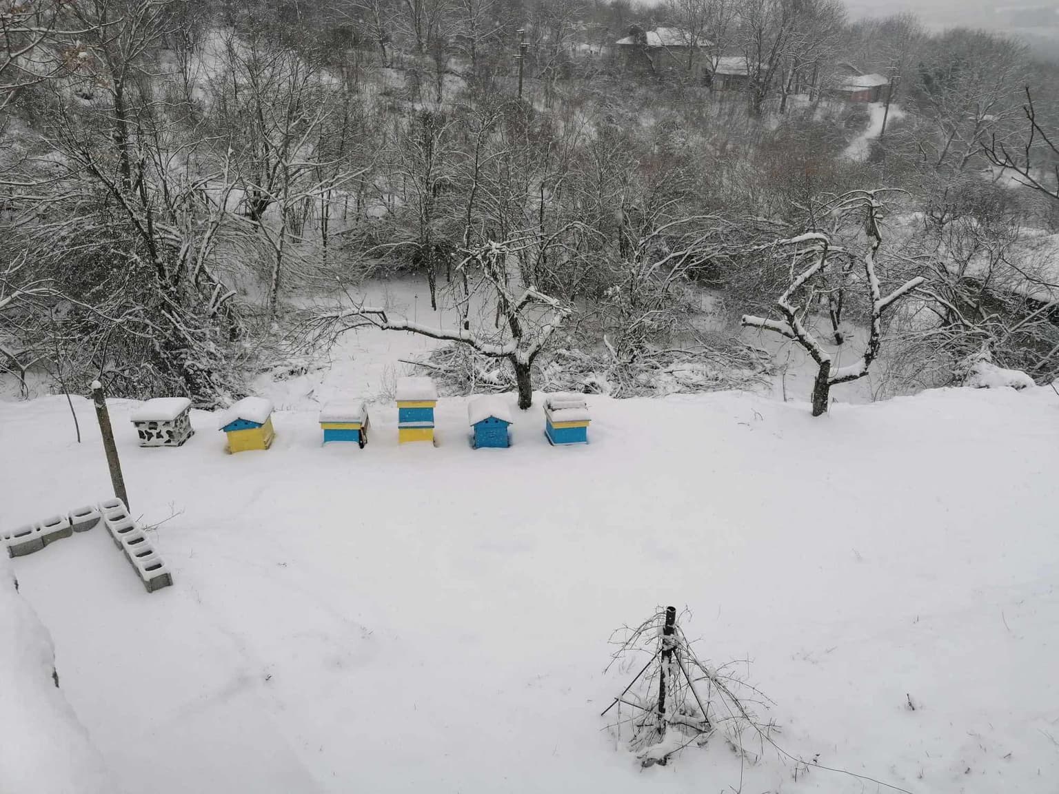 Rila Grande - Katselovo - thumbnail 24