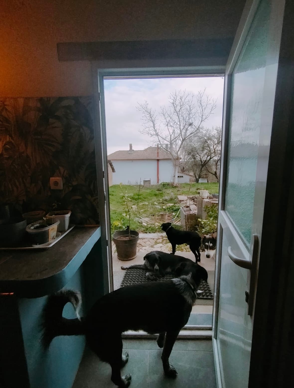 Zen House - Palamartsa - thumbnail 20