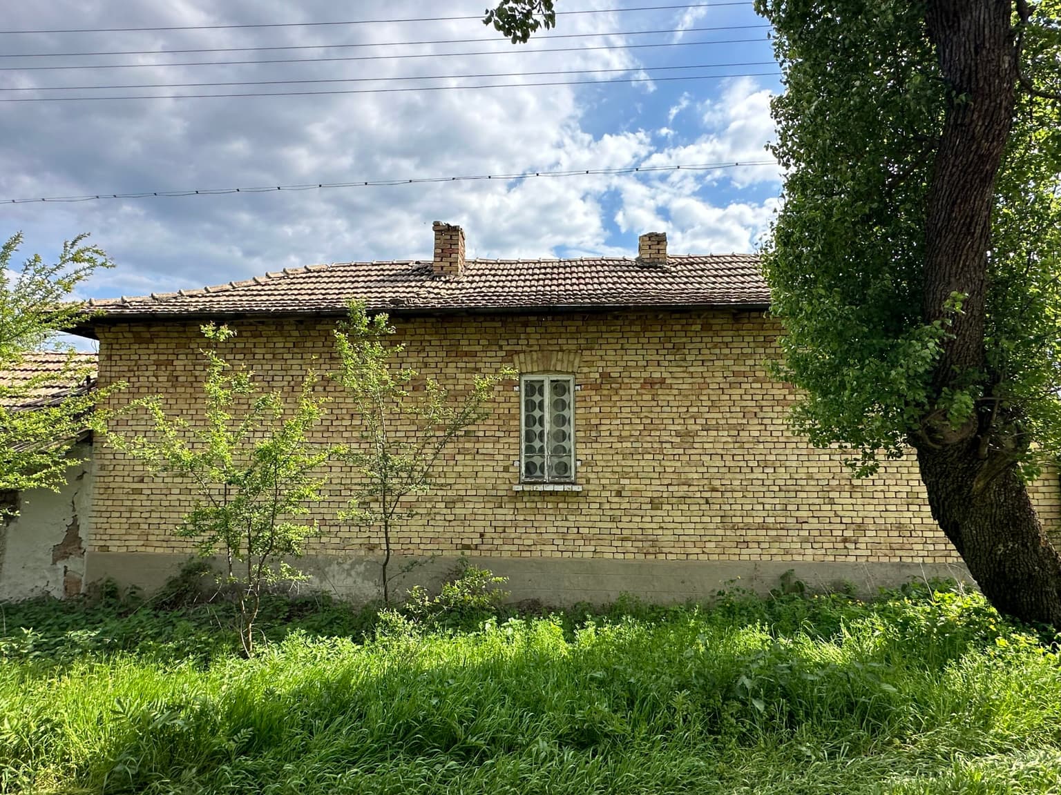 Buttercup House - Palamartsa - thumbnail 3