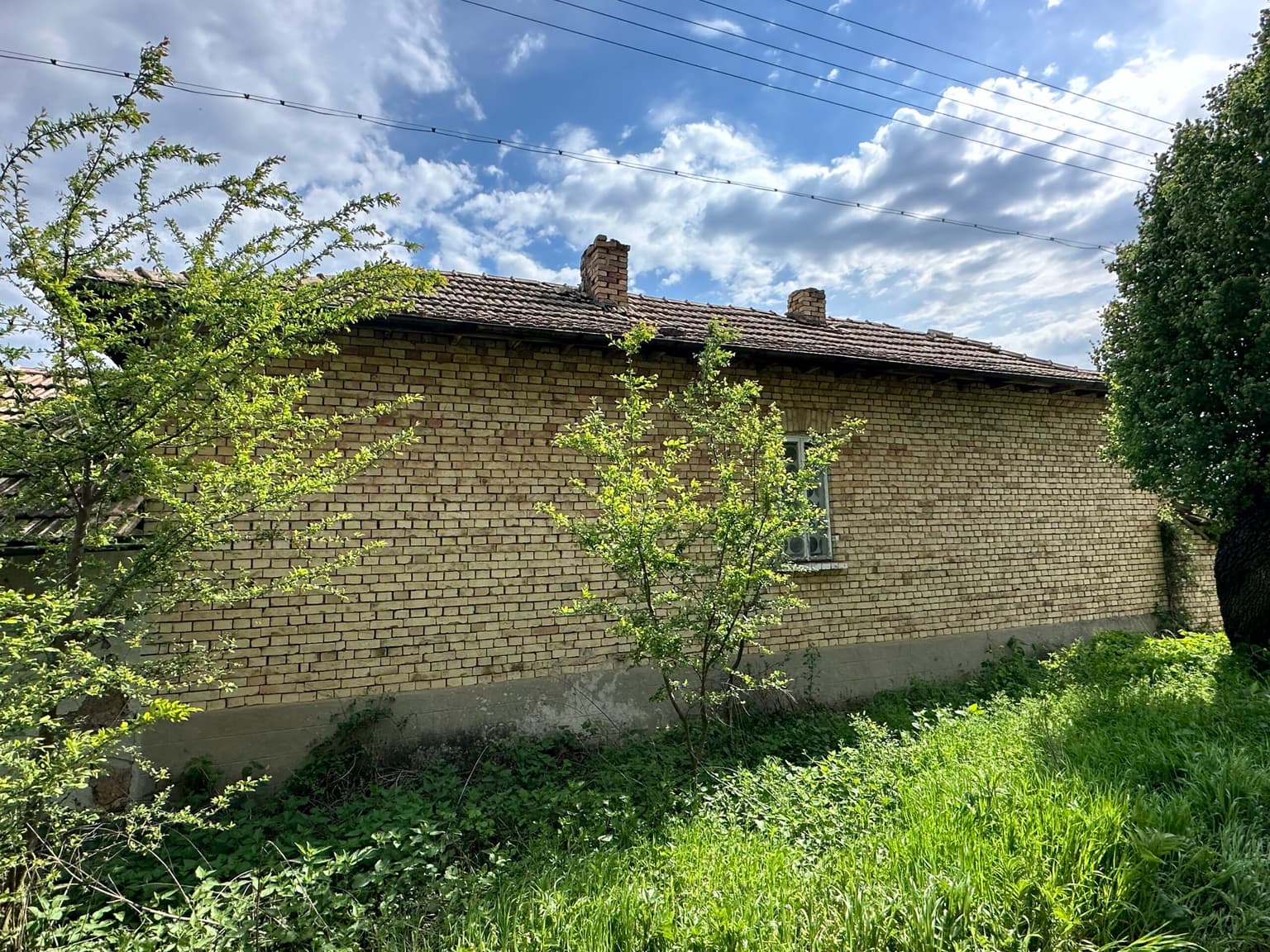 Buttercup House - Palamartsa - thumbnail 4