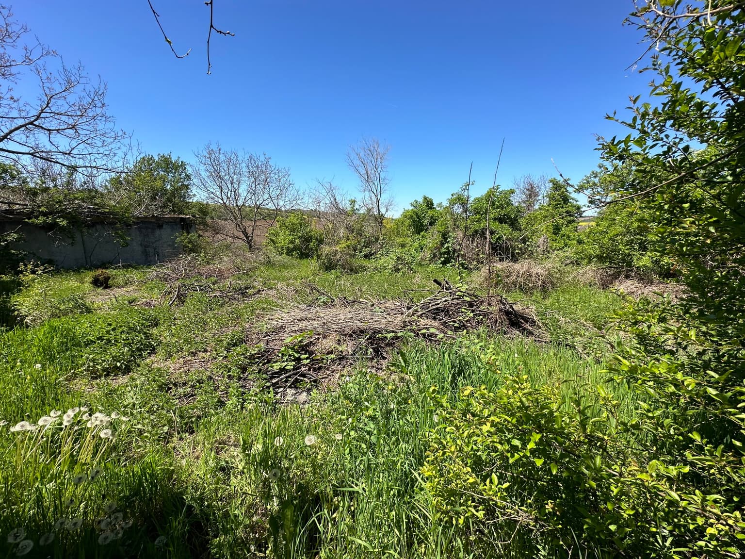 Meadow View House – Tsar Asen - thumbnail 11