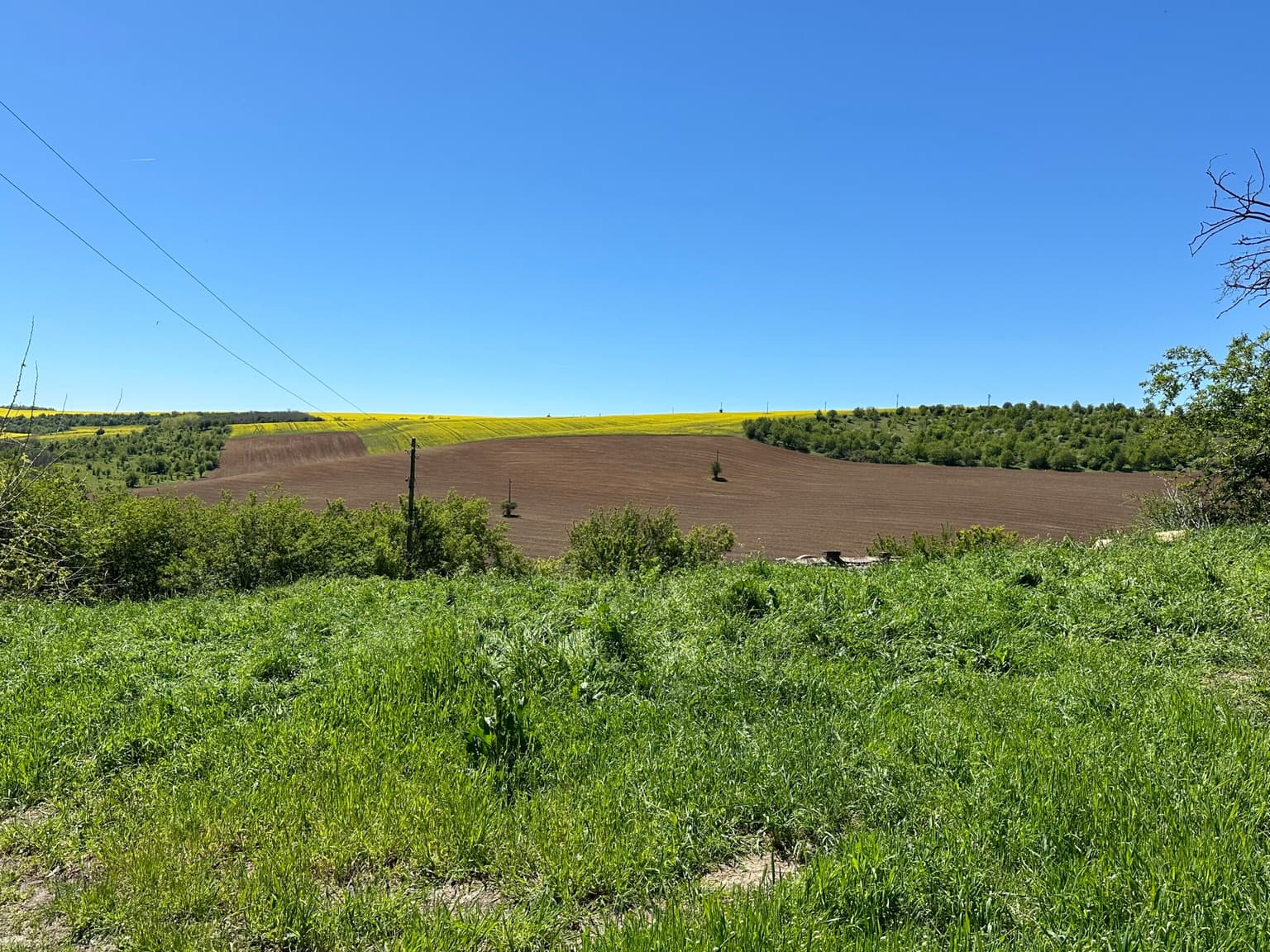 Meadow View House – Tsar Asen - thumbnail 17