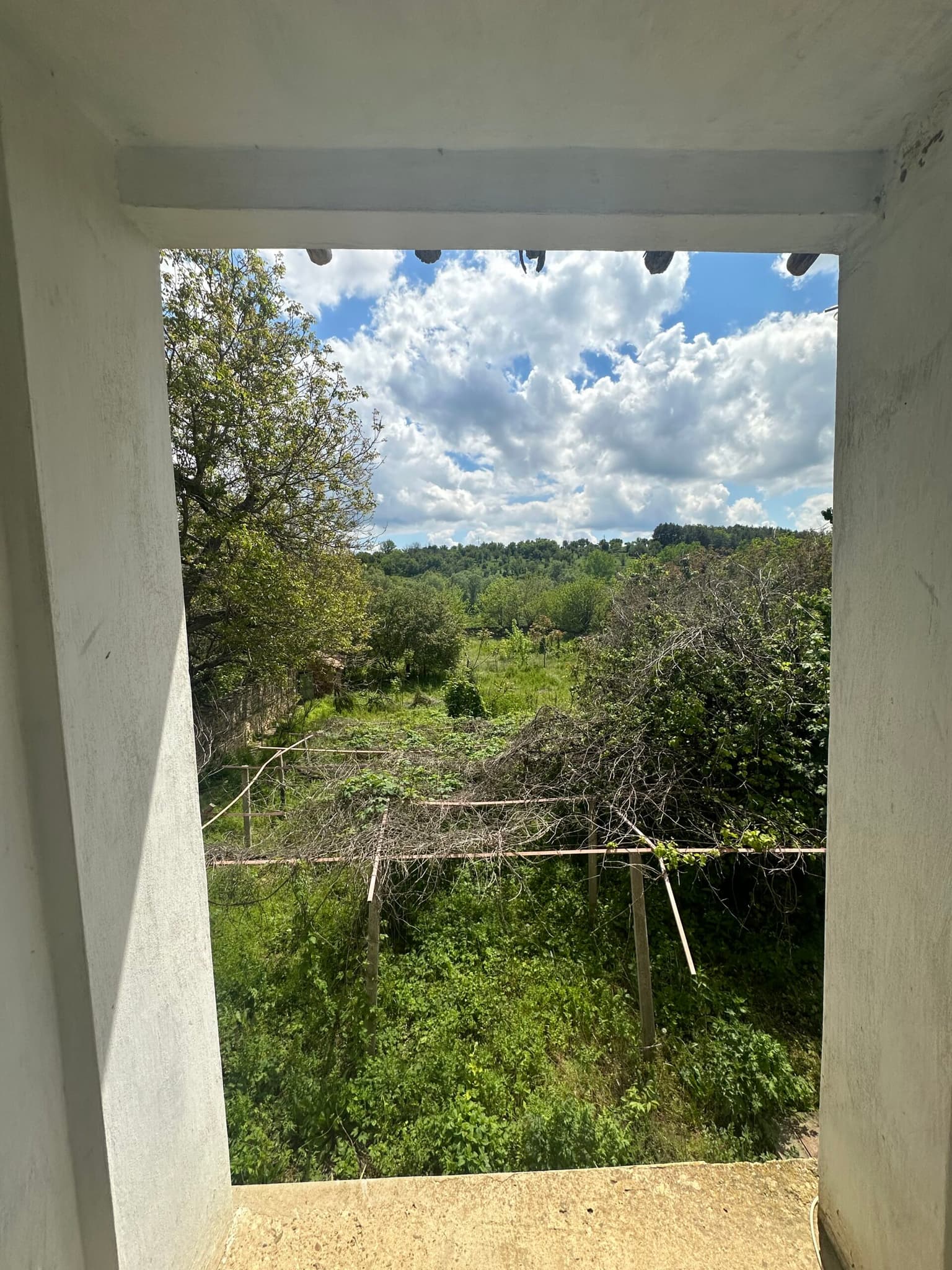 Walnut House - Gorna Lipnitsa - thumbnail 19