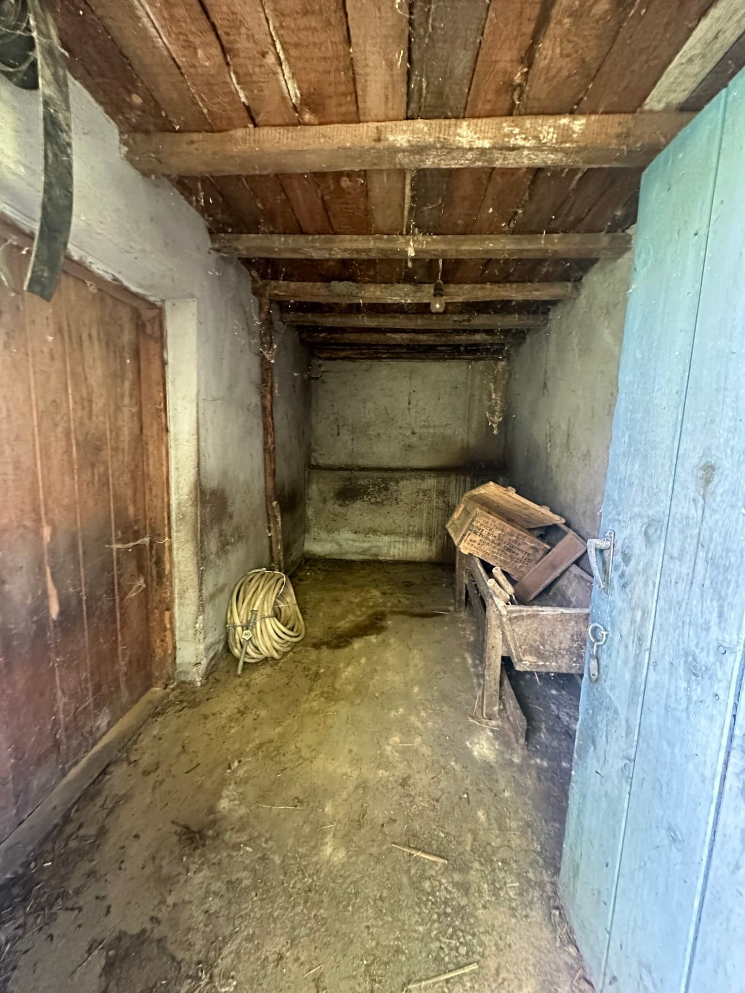 Walnut House - Gorna Lipnitsa - thumbnail 28