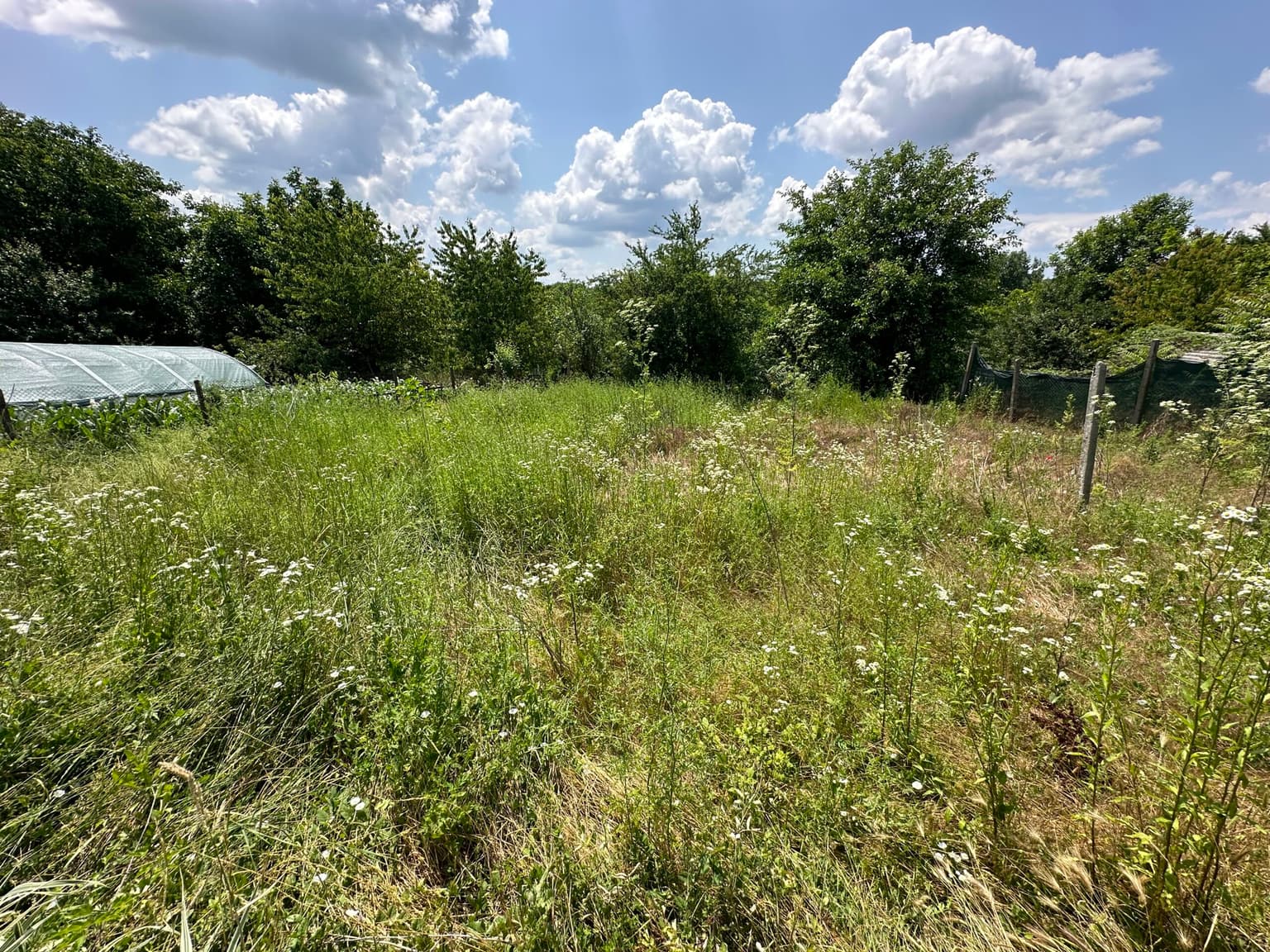 *SOLD* The Old Shop House - Palamartsa - thumbnail 14