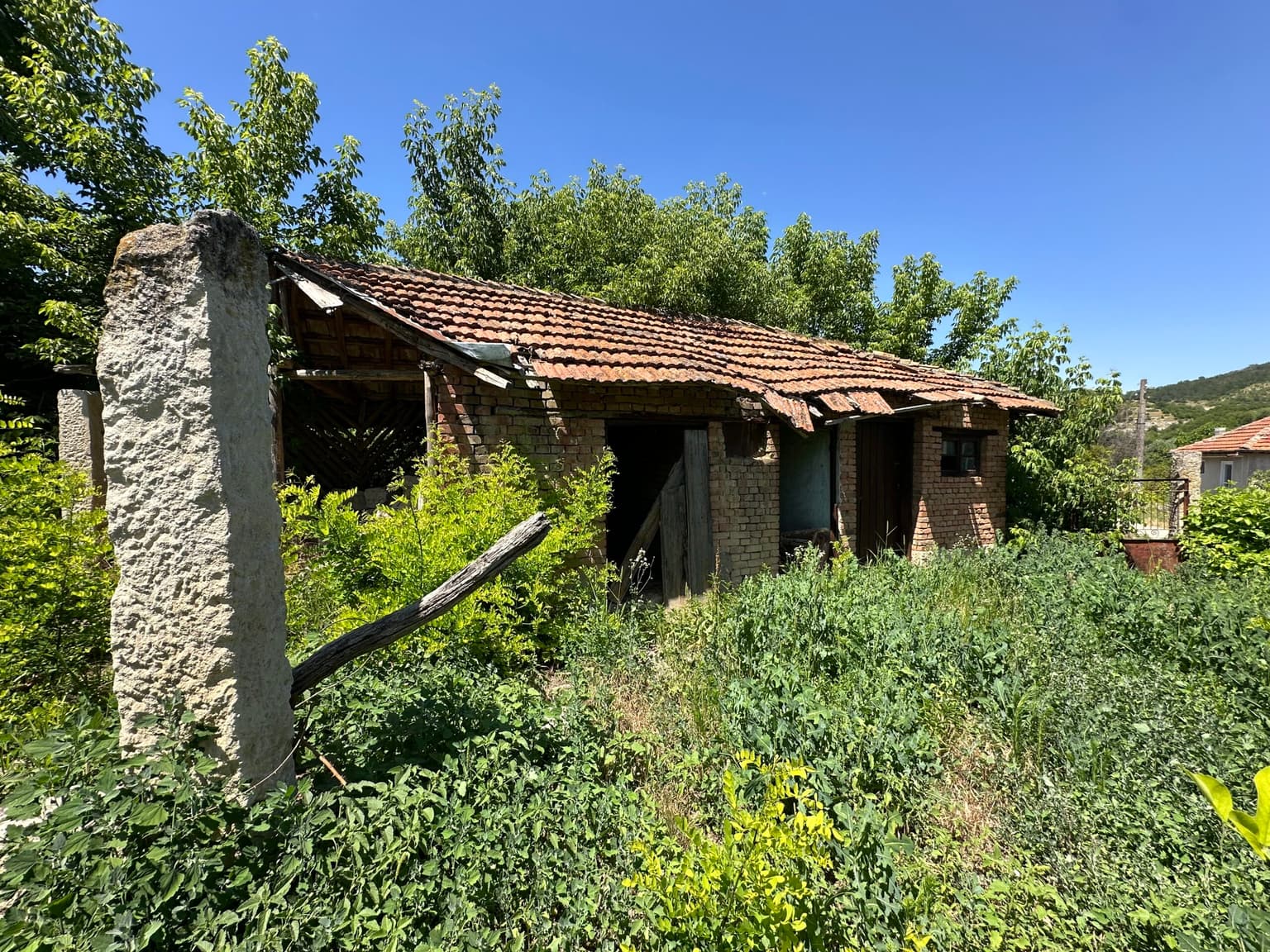 Arda View - Ostritsa - thumbnail 7