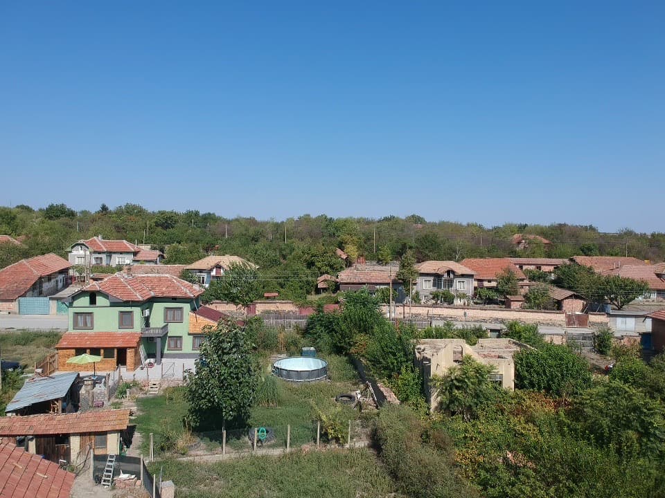 Avocado House - Slomer - thumbnail 2