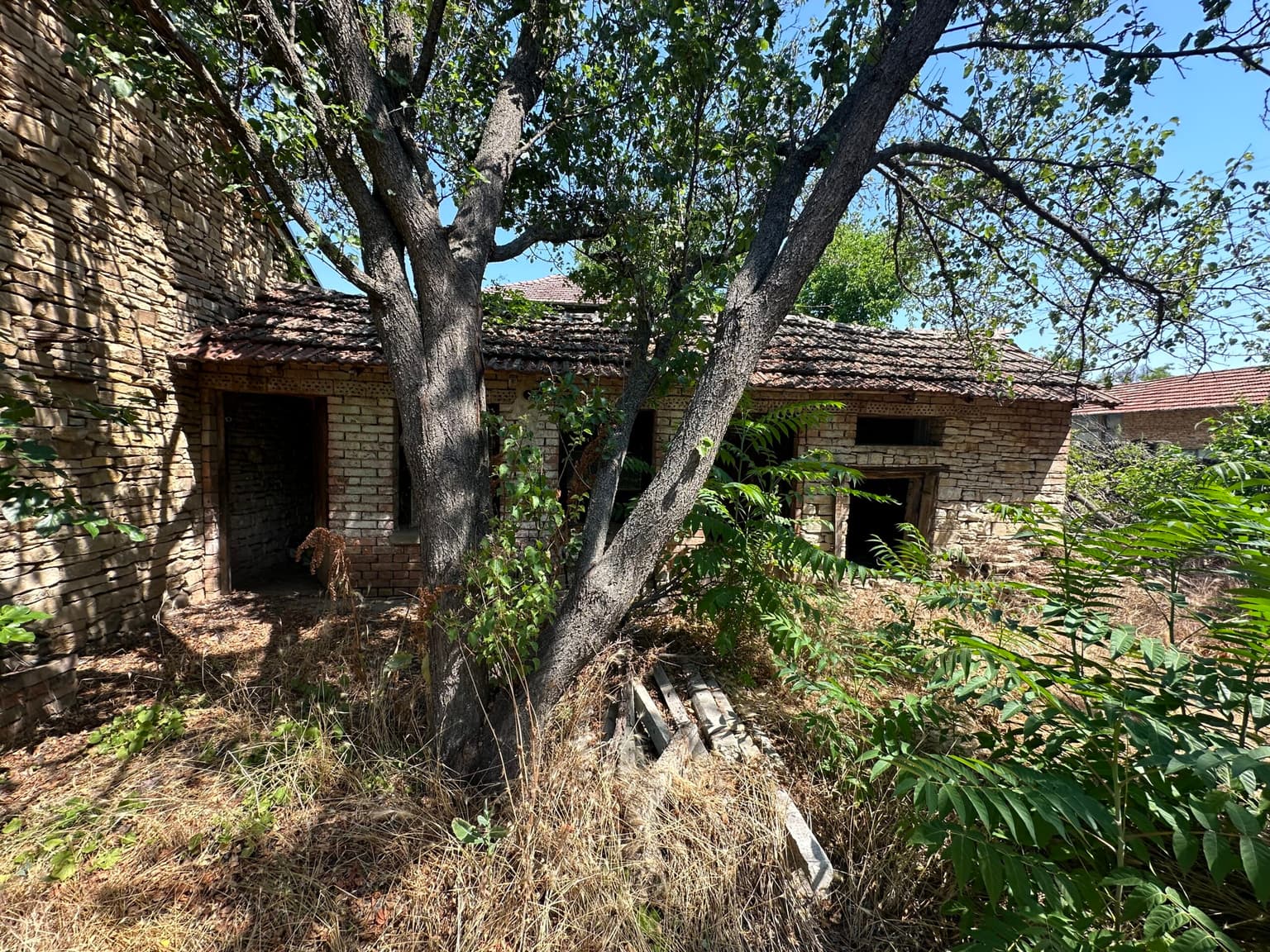 The Cherry Tree House - - thumbnail 6