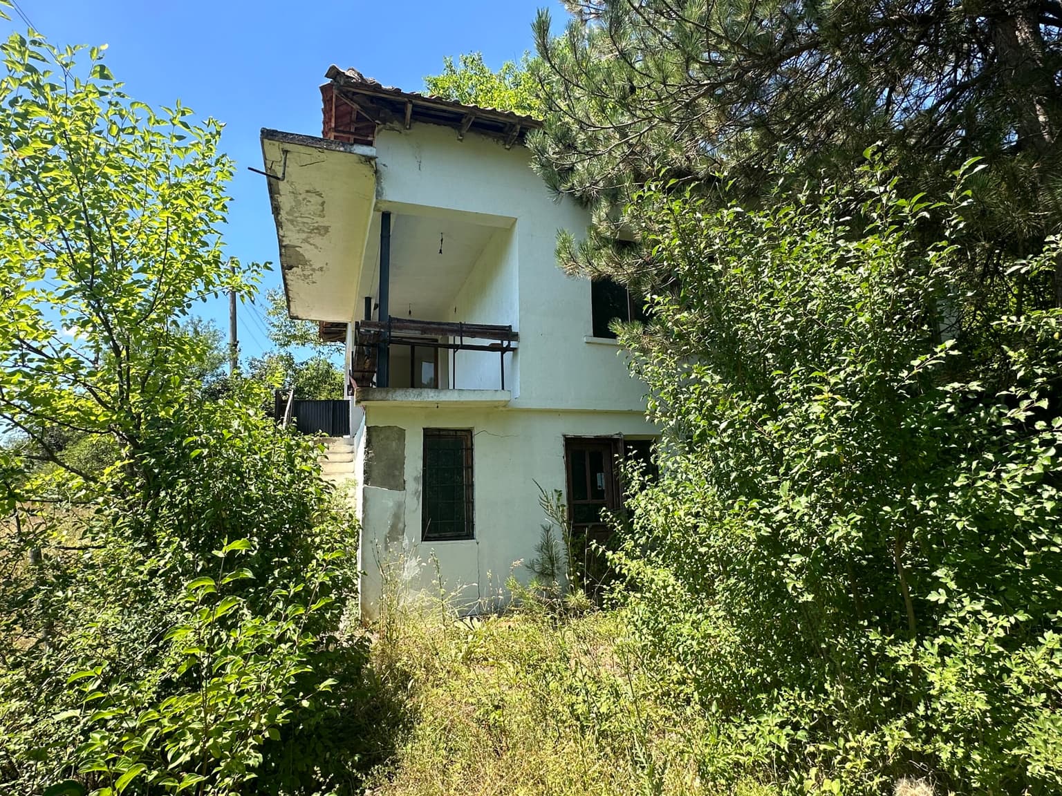 Forest View House – Marchino - thumbnail 9