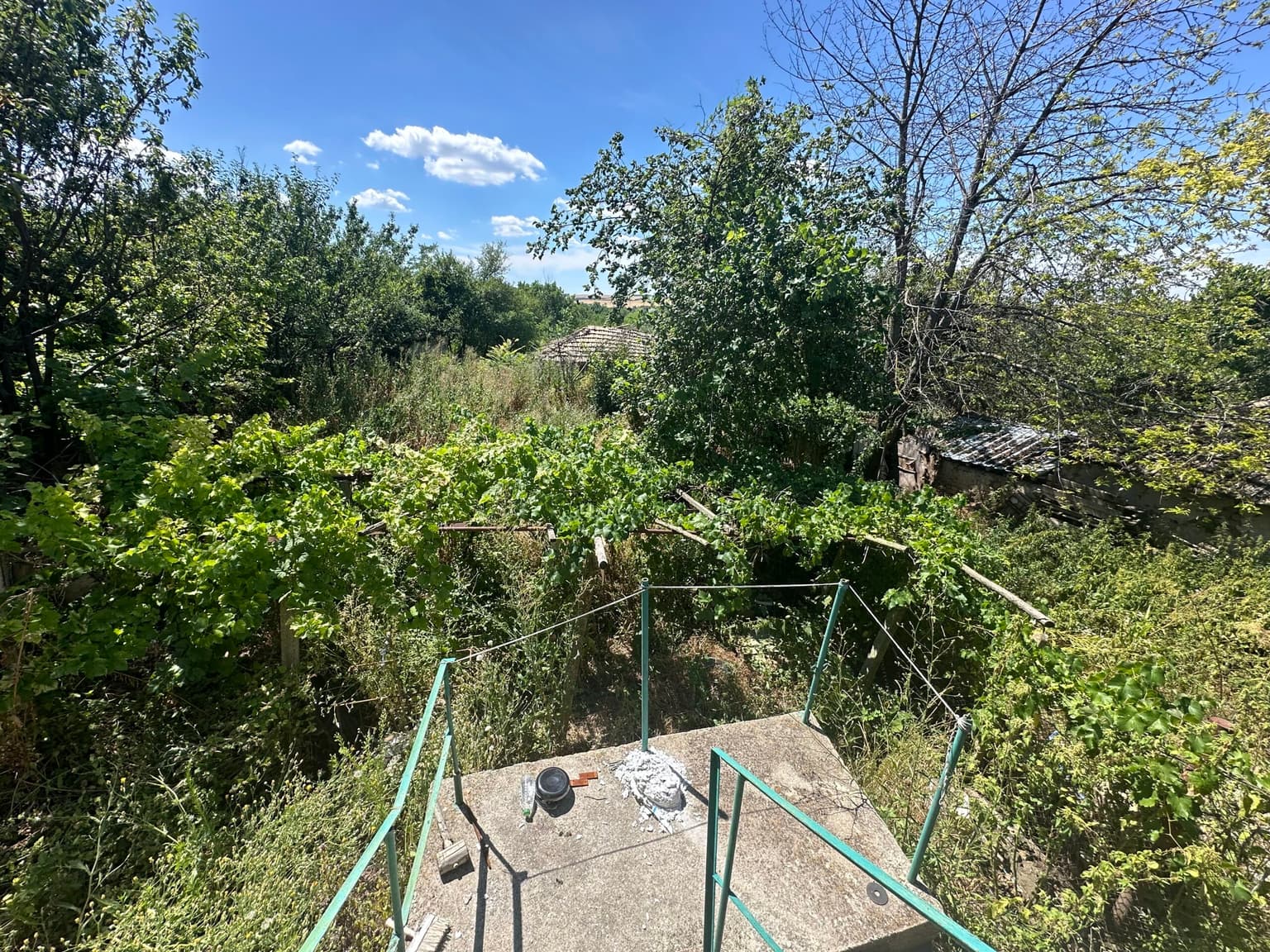 Meadow Brook Cottage - Tsar Asen - thumbnail 9